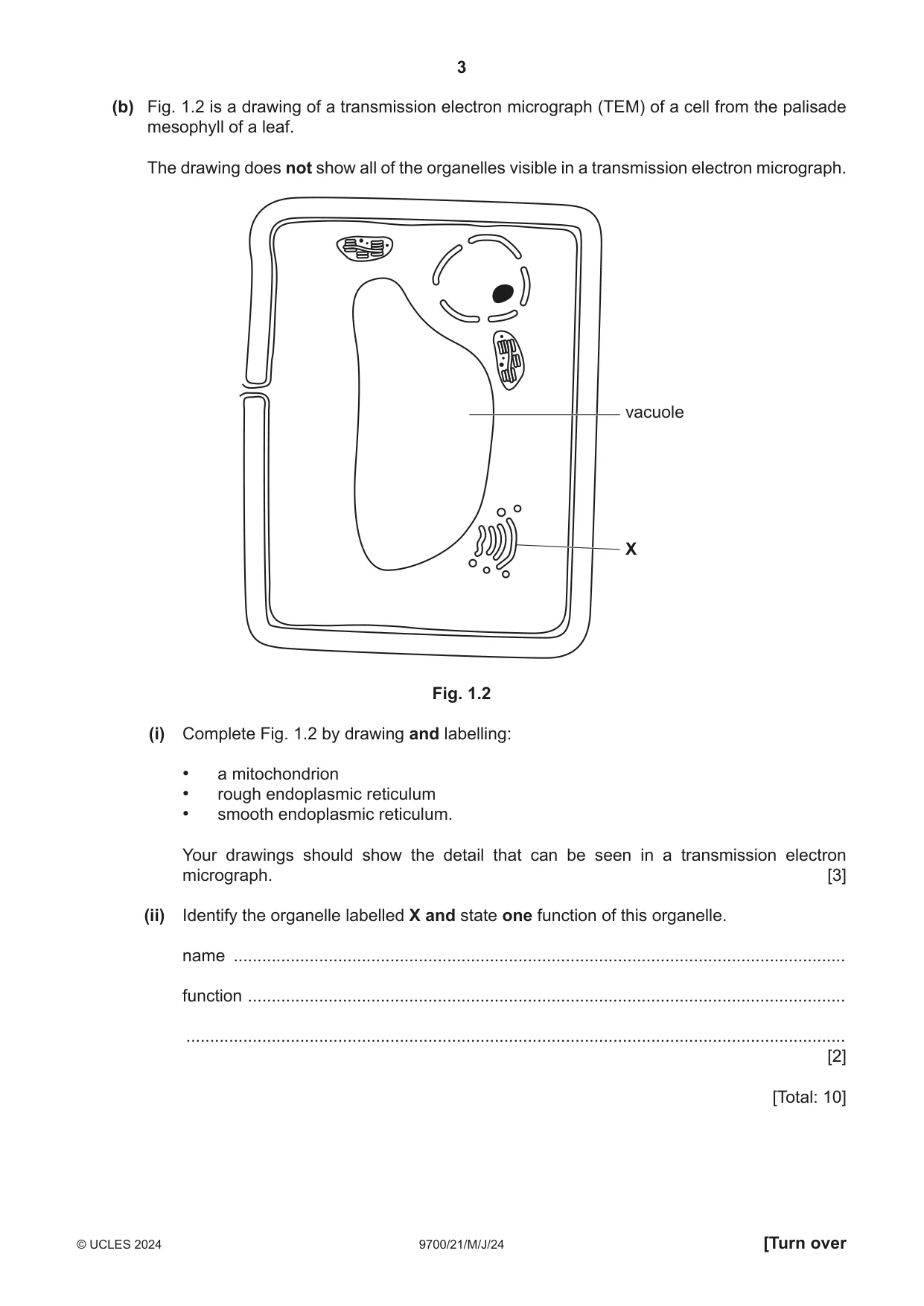 Cambridge A Level Biology 9700 2024 May/June Paper 2 · Variant 1 question paper, page 3 of 20