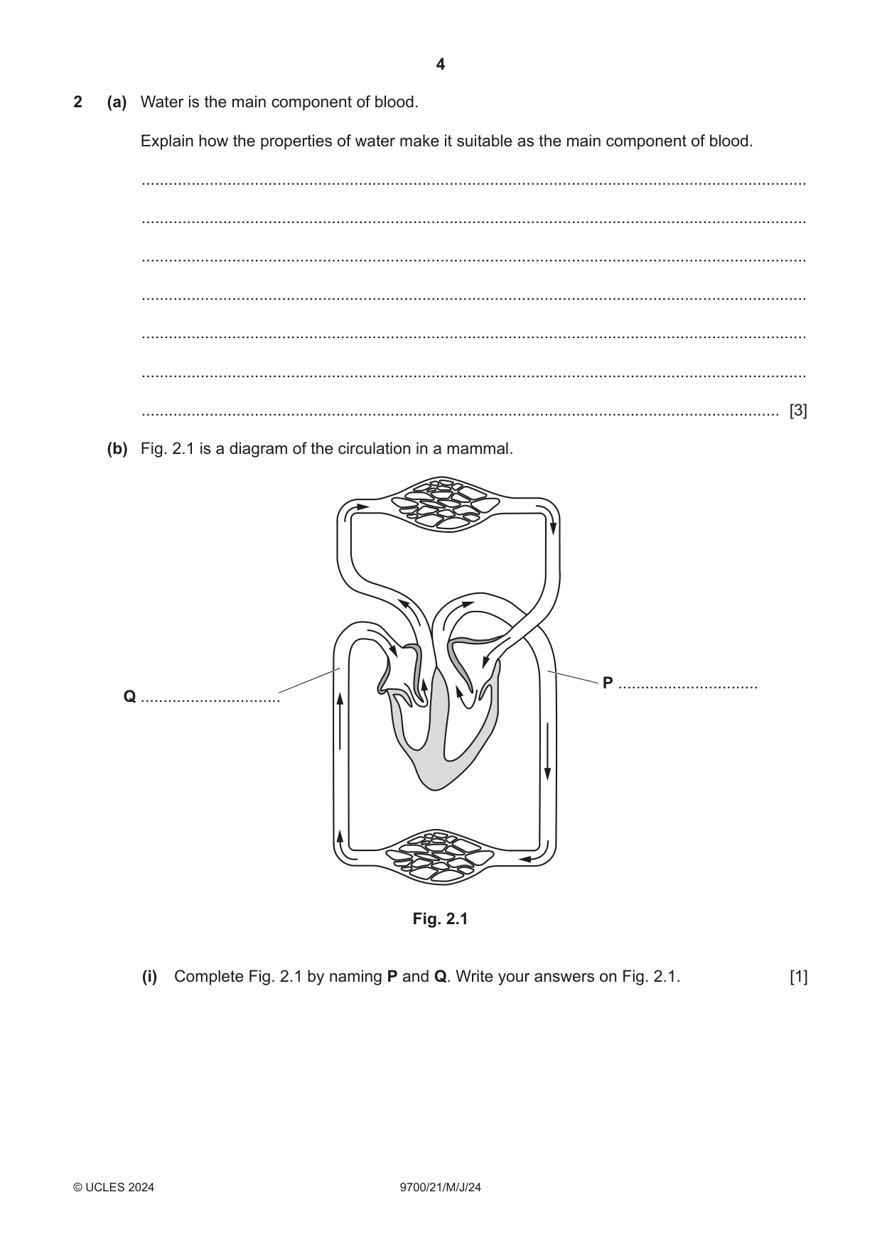 Cambridge A Level Biology 9700 2024 May/June Paper 2 · Variant 1 question paper, page 4 of 20