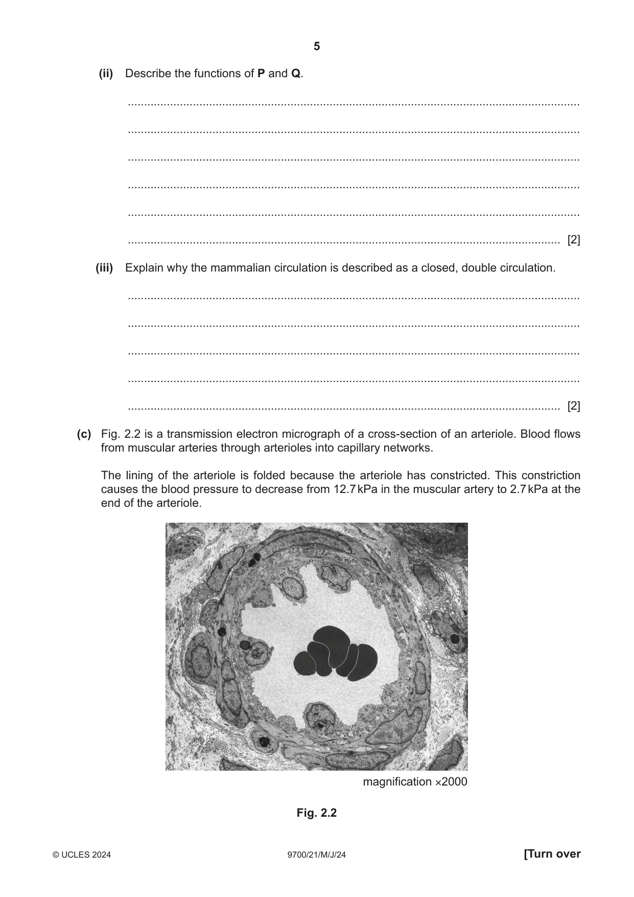 Cambridge A Level Biology 9700 2024 May/June Paper 2 · Variant 1 question paper, page 5 of 20