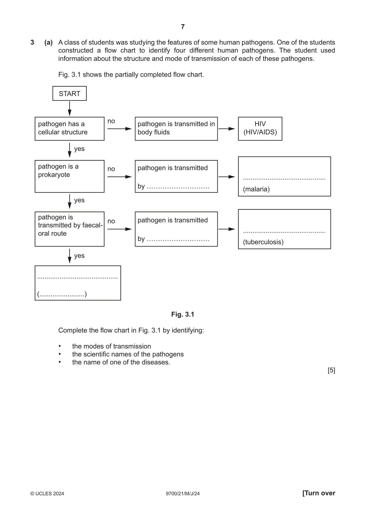 Cambridge A Level Biology 9700 2024 May/June Paper 2 · Variant 1 question paper, page 7 of 20