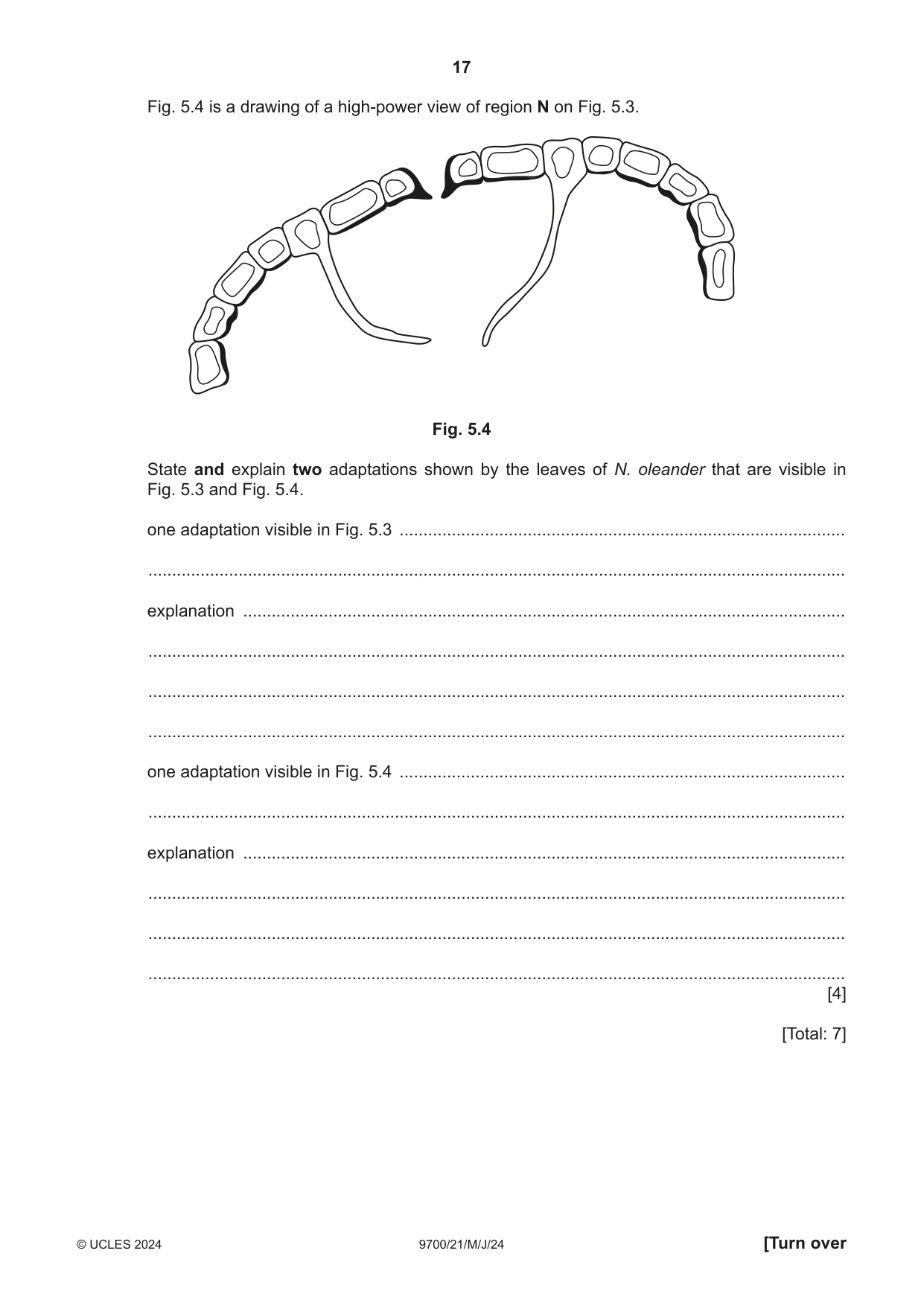 Cambridge A Level Biology 9700 2024 May/June Paper 2 · Variant 1 question paper, page 17 of 20