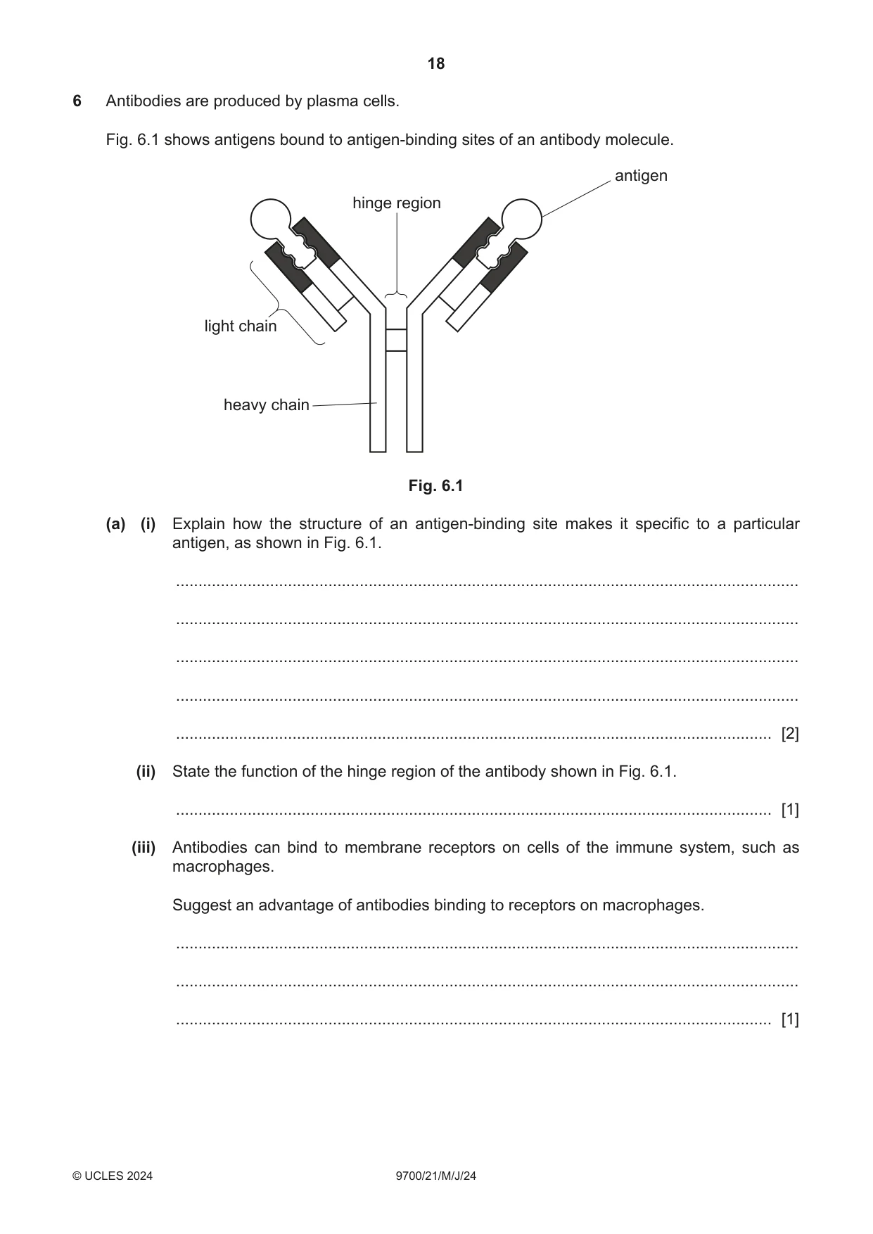 Cambridge A Level Biology 9700 2024 May/June Paper 2 · Variant 1 question paper, page 18 of 20