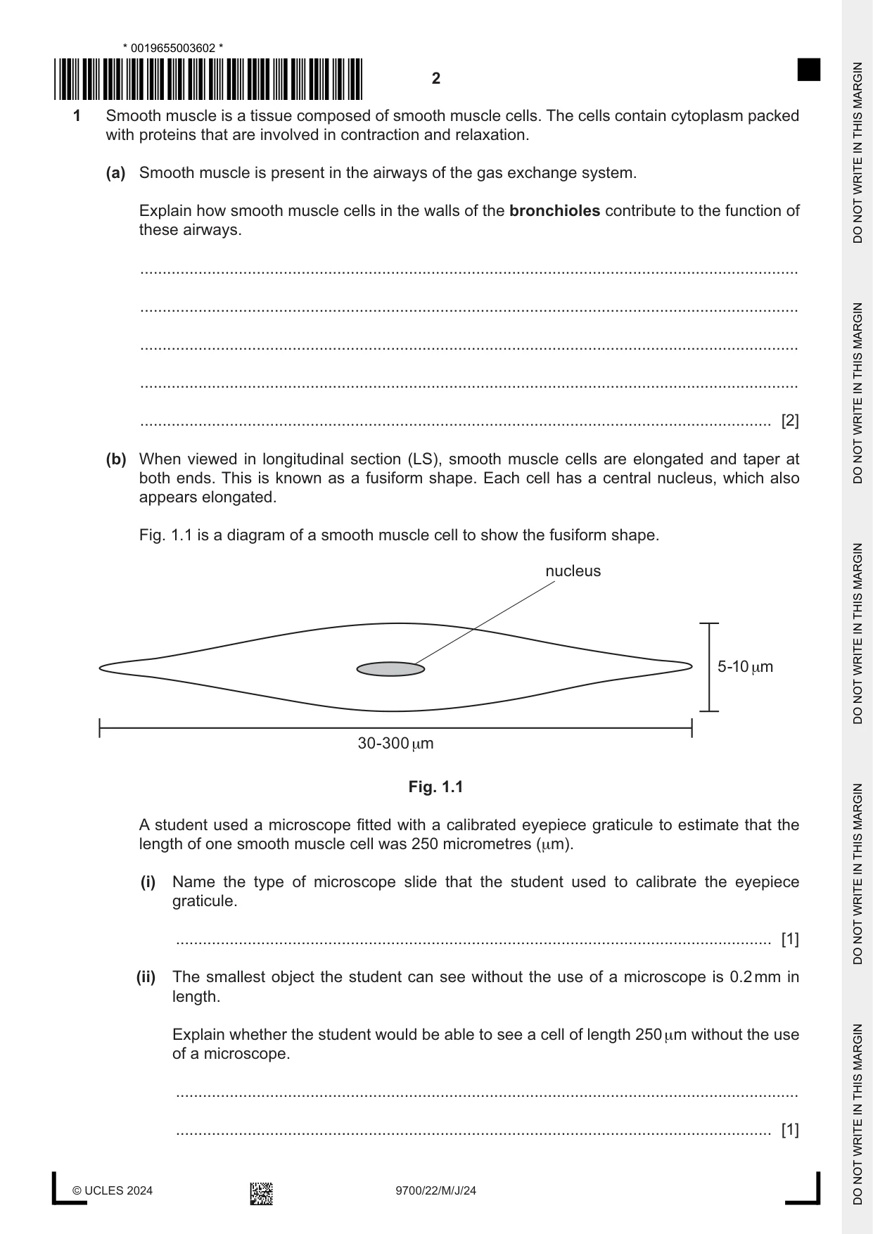 Cambridge A Level Biology 9700 2024 May/June Paper 2 · Variant 2 question paper, page 2 of 16