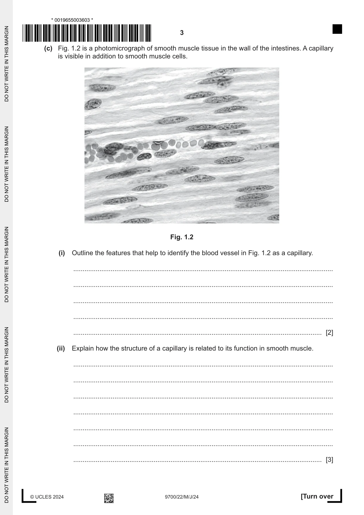 Cambridge A Level Biology 9700 2024 May/June Paper 2 · Variant 2 question paper, page 3 of 16