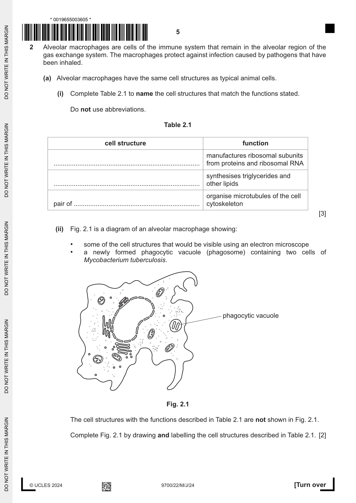 Cambridge A Level Biology 9700 2024 May/June Paper 2 · Variant 2 question paper, page 5 of 16