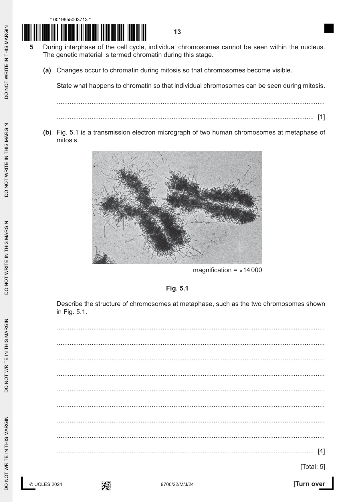 Cambridge A Level Biology 9700 2024 May/June Paper 2 · Variant 2 question paper, page 13 of 16