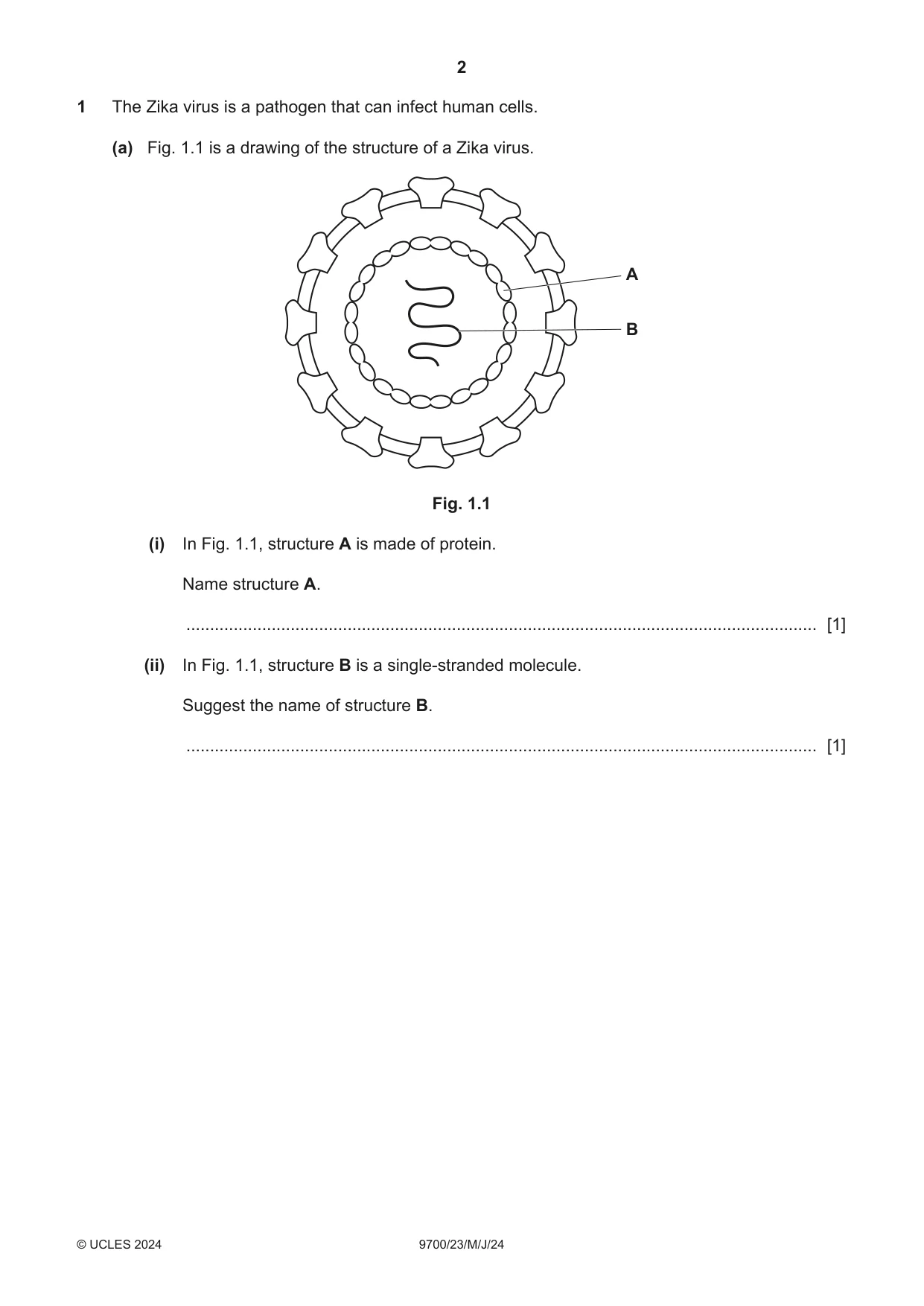 Cambridge A Level Biology 9700 2024 May/June Paper 2 · Variant 3 question paper, page 2 of 16