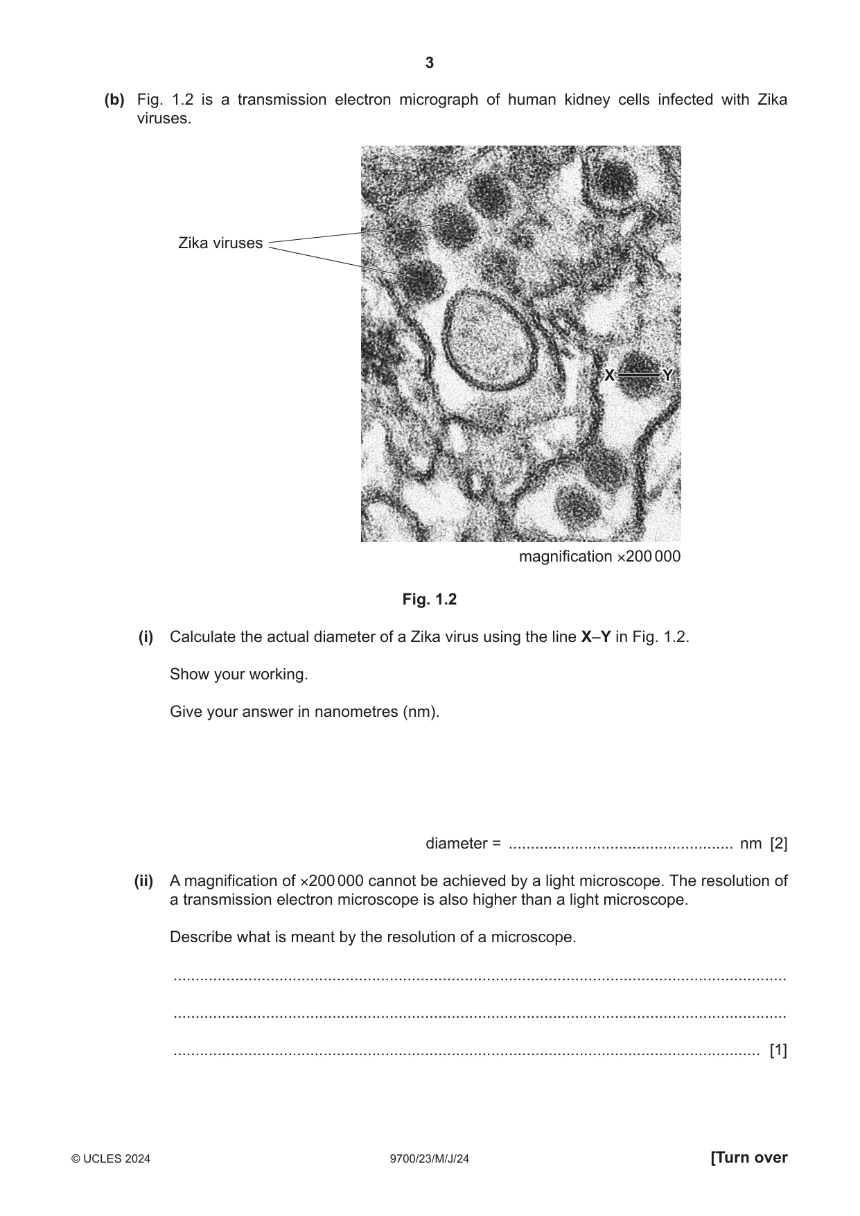 Cambridge A Level Biology 9700 2024 May/June Paper 2 · Variant 3 question paper, page 3 of 16