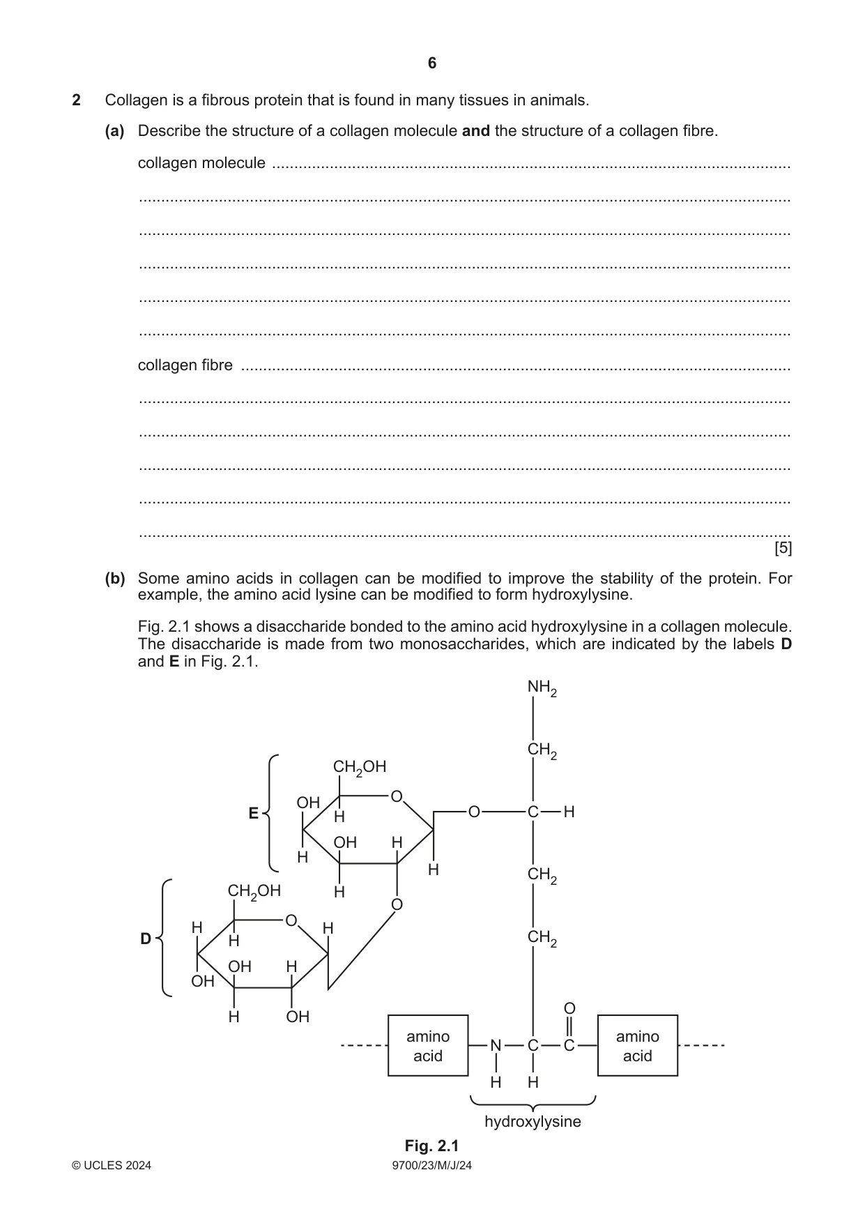 Cambridge A Level Biology 9700 2024 May/June Paper 2 · Variant 3 question paper, page 6 of 16