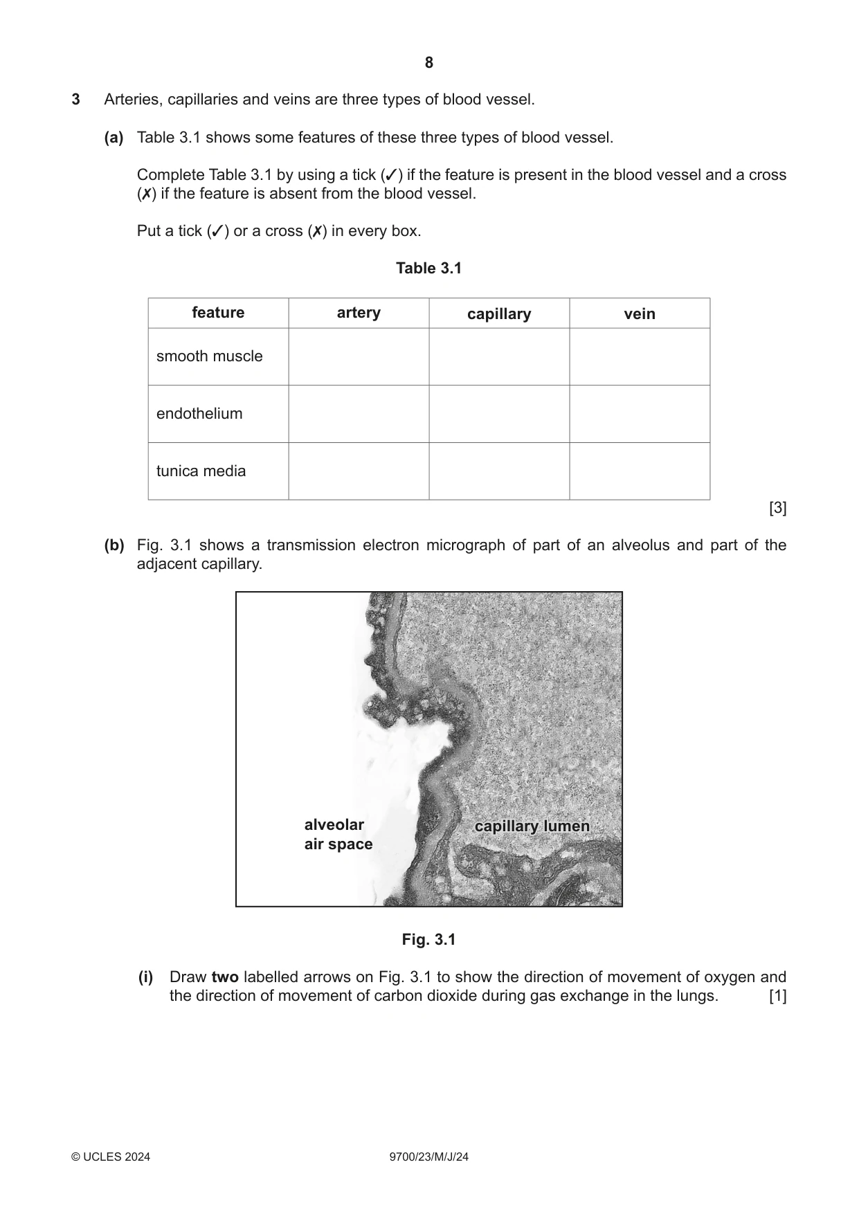 Cambridge A Level Biology 9700 2024 May/June Paper 2 · Variant 3 question paper, page 8 of 16