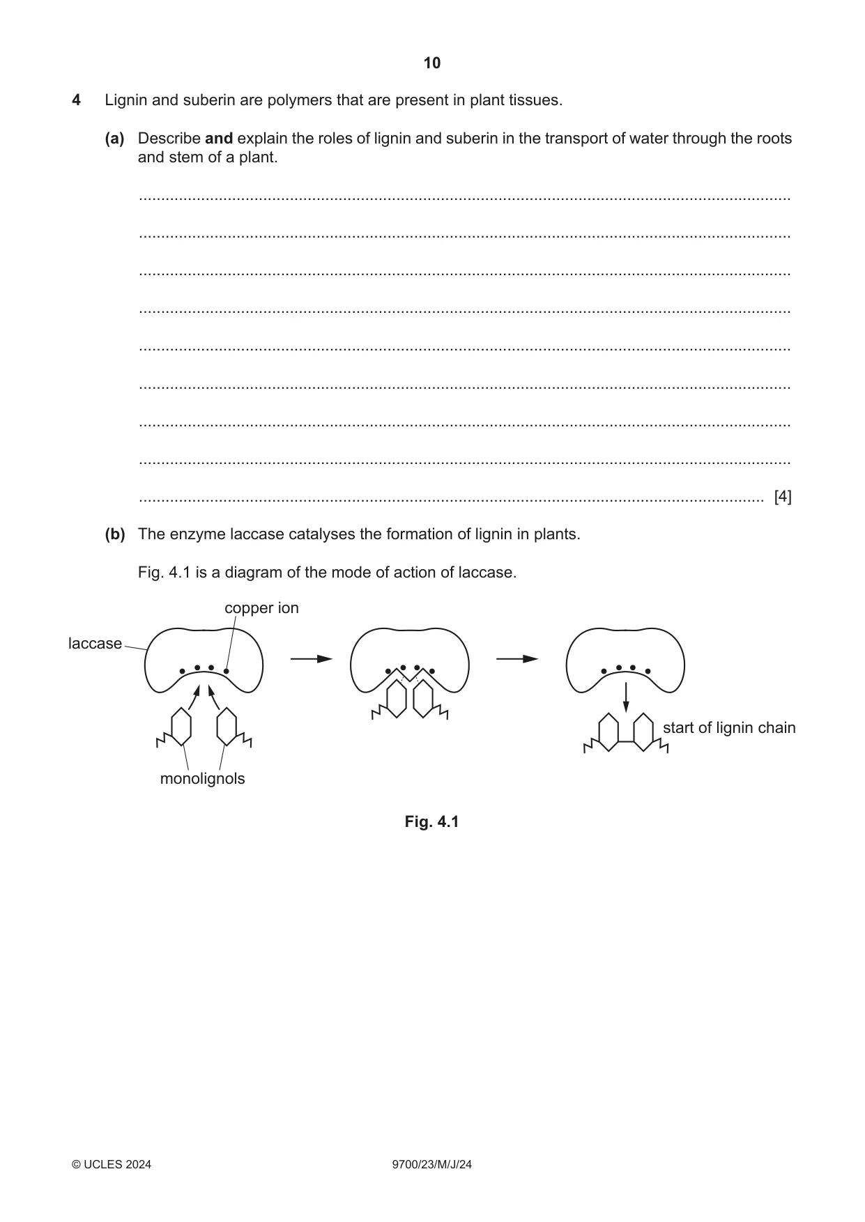 Cambridge A Level Biology 9700 2024 May/June Paper 2 · Variant 3 question paper, page 10 of 16