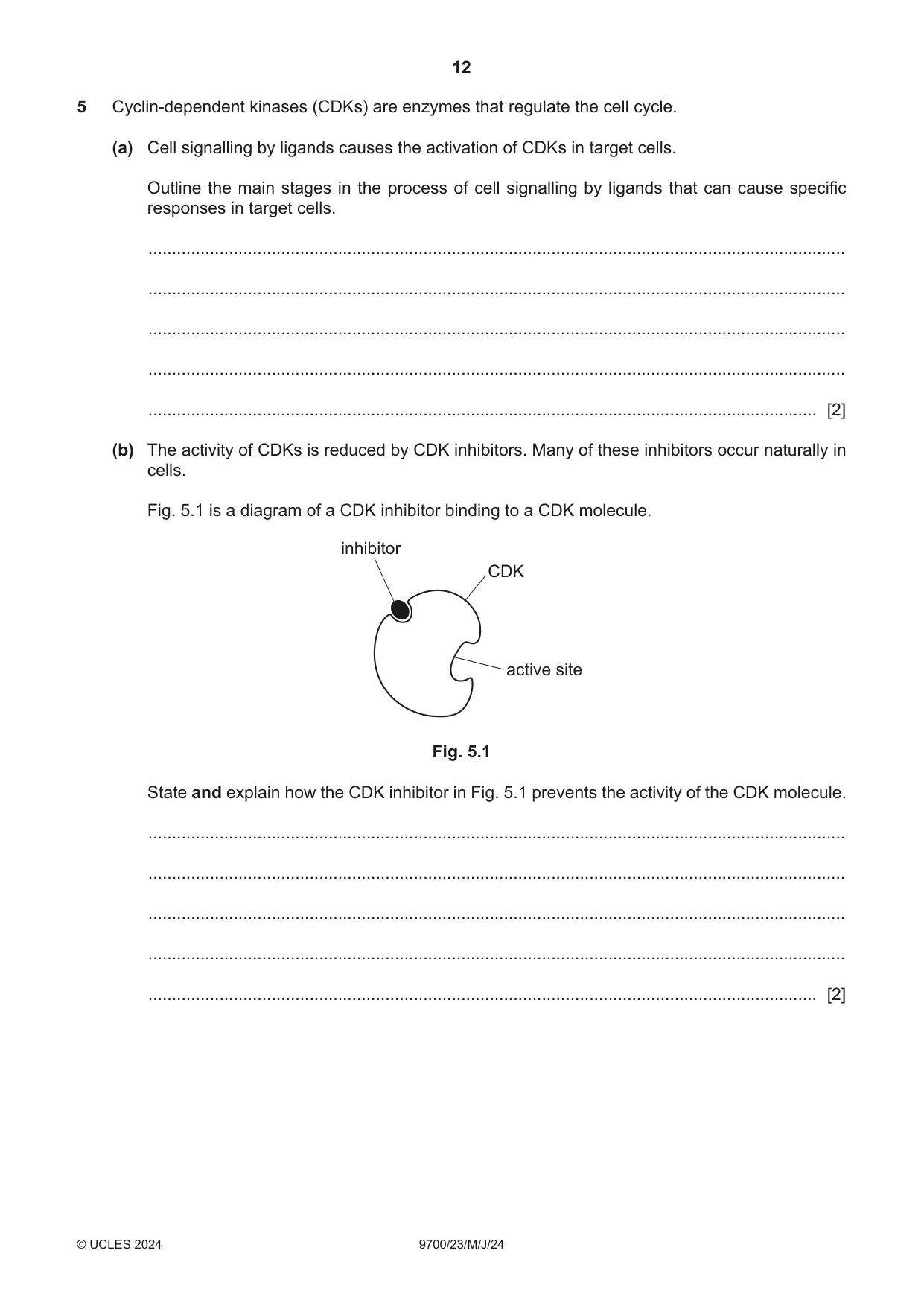 Cambridge A Level Biology 9700 2024 May/June Paper 2 · Variant 3 question paper, page 12 of 16