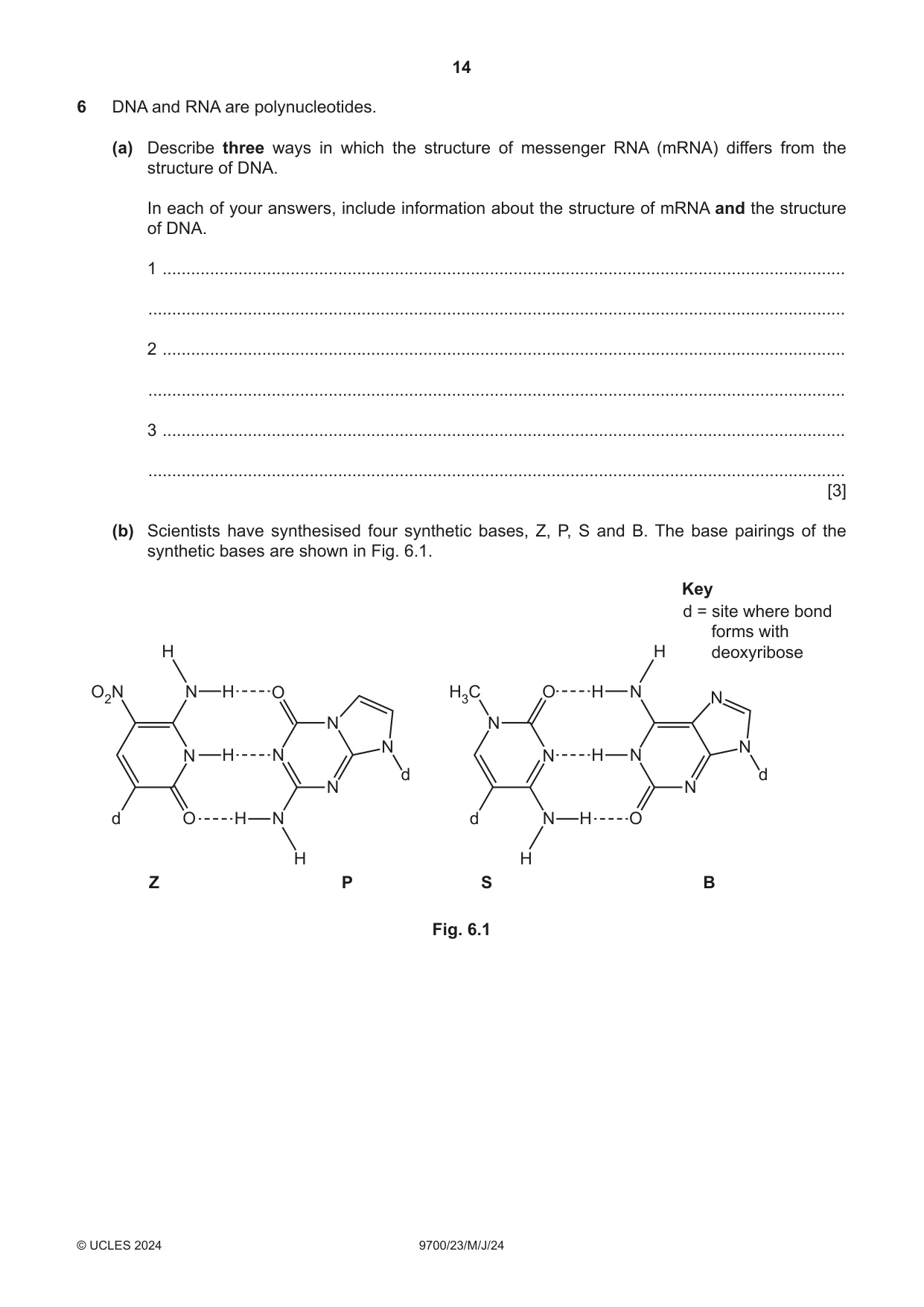 Cambridge A Level Biology 9700 2024 May/June Paper 2 · Variant 3 question paper, page 14 of 16