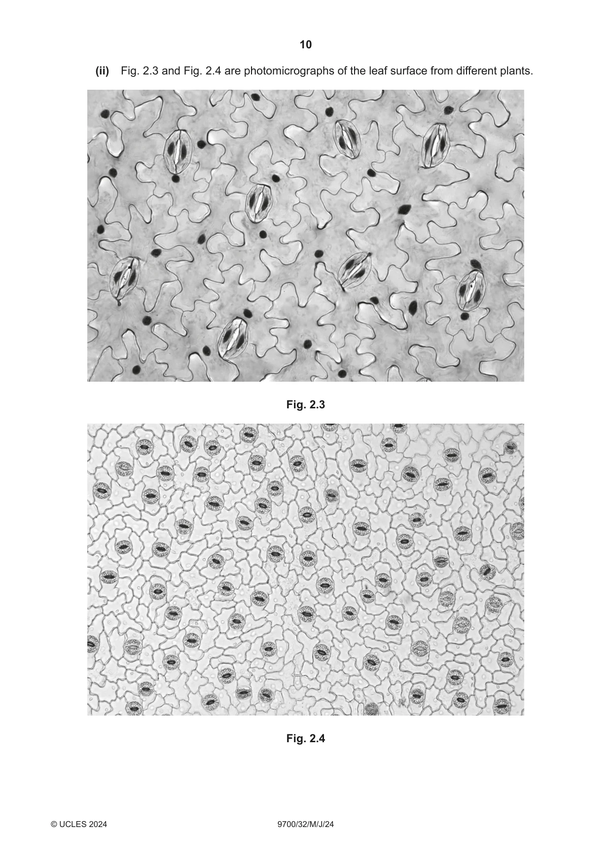Cambridge A Level Biology 9700 2024 May/June Paper 3 · Variant 2 question paper, page 10 of 12