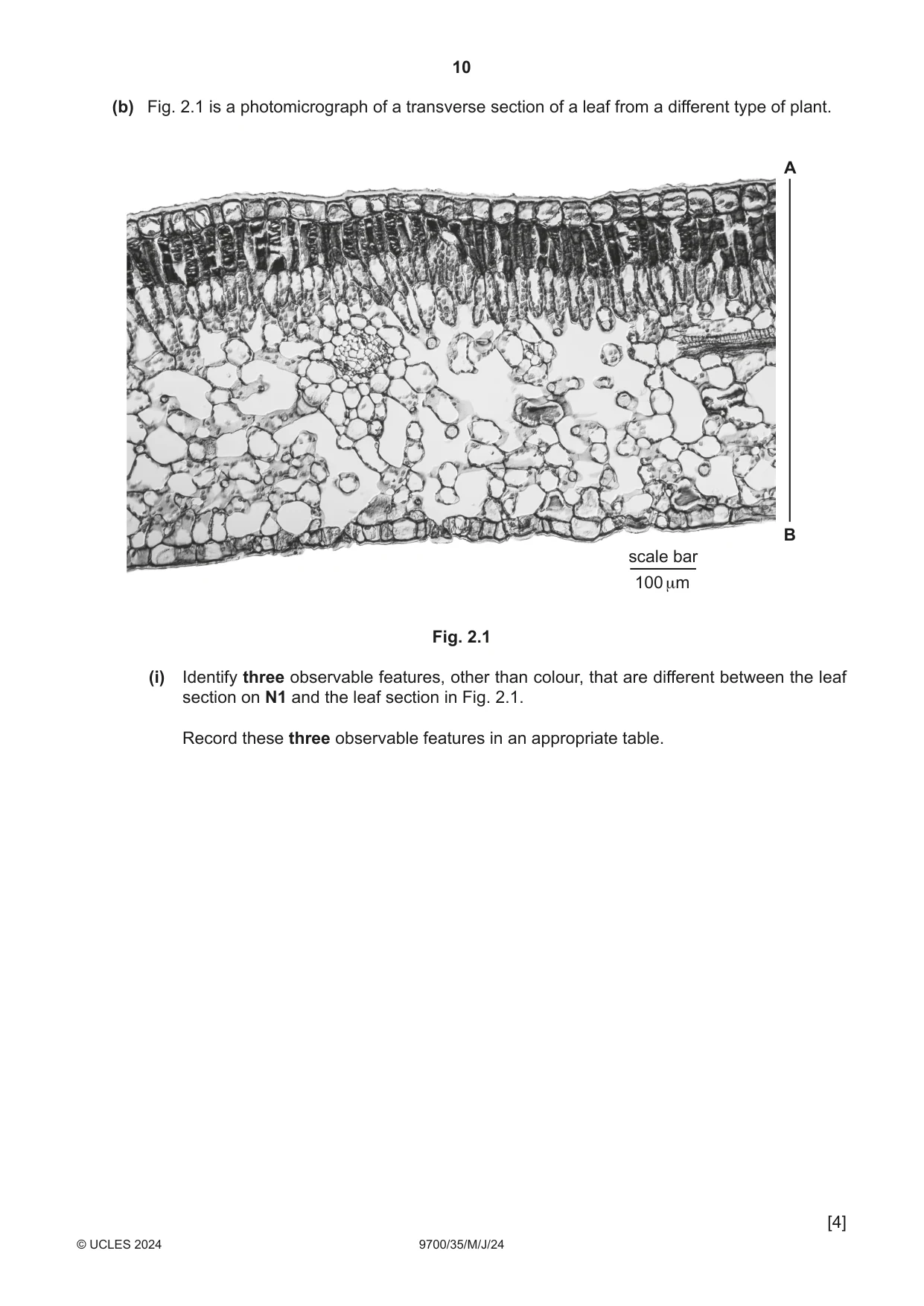 Cambridge A Level Biology 9700 2024 May/June Paper 3 · Variant 5 question paper, page 10 of 12