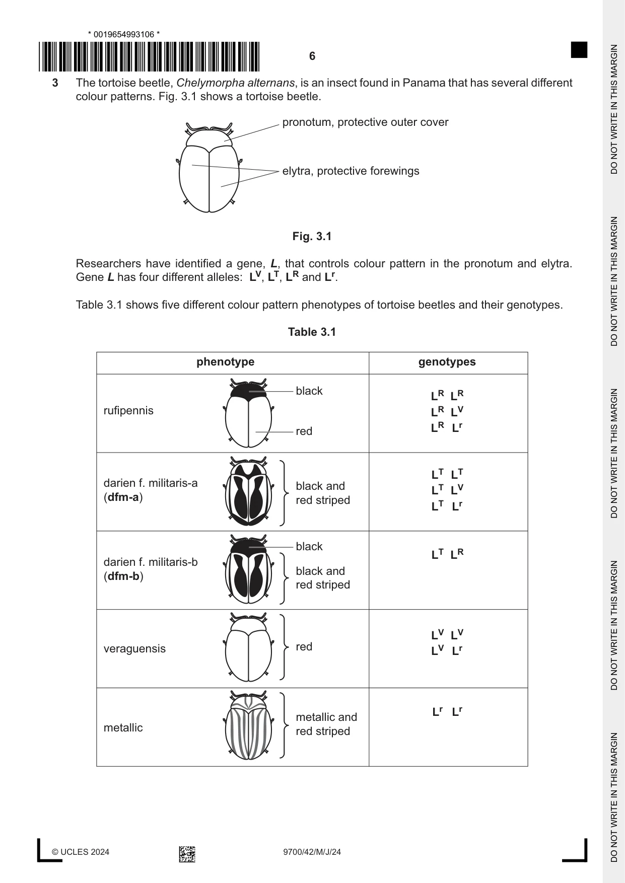 Cambridge A Level Biology 9700 2024 May/June Paper 4 · Variant 2 question paper, page 6 of 24