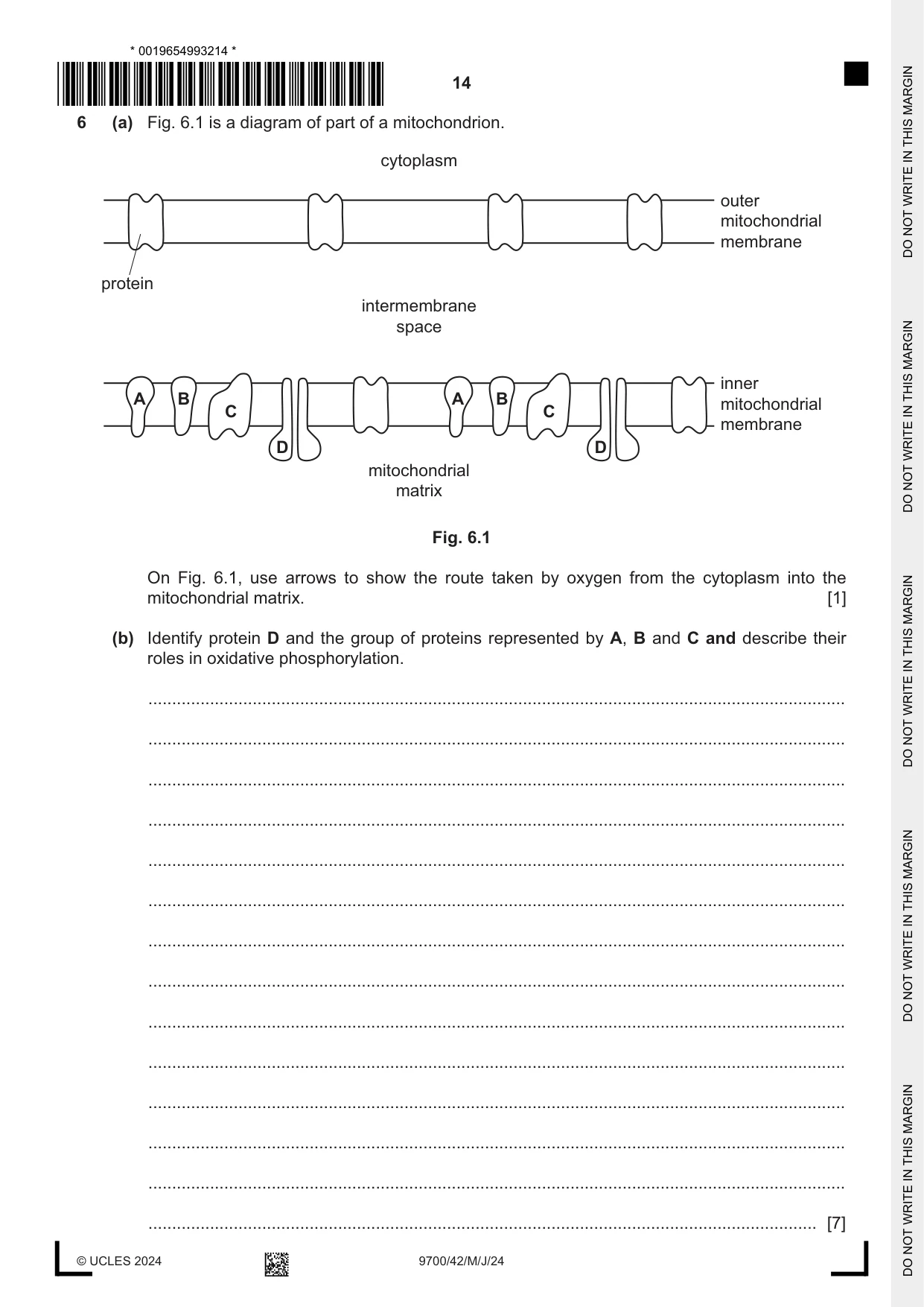 Cambridge A Level Biology 9700 2024 May/June Paper 4 · Variant 2 question paper, page 14 of 24