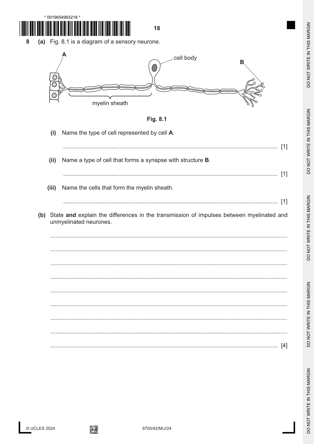Cambridge A Level Biology 9700 2024 May/June Paper 4 · Variant 2 question paper, page 18 of 24