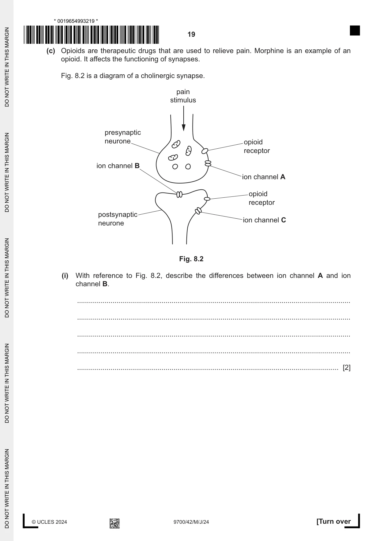 Cambridge A Level Biology 9700 2024 May/June Paper 4 · Variant 2 question paper, page 19 of 24