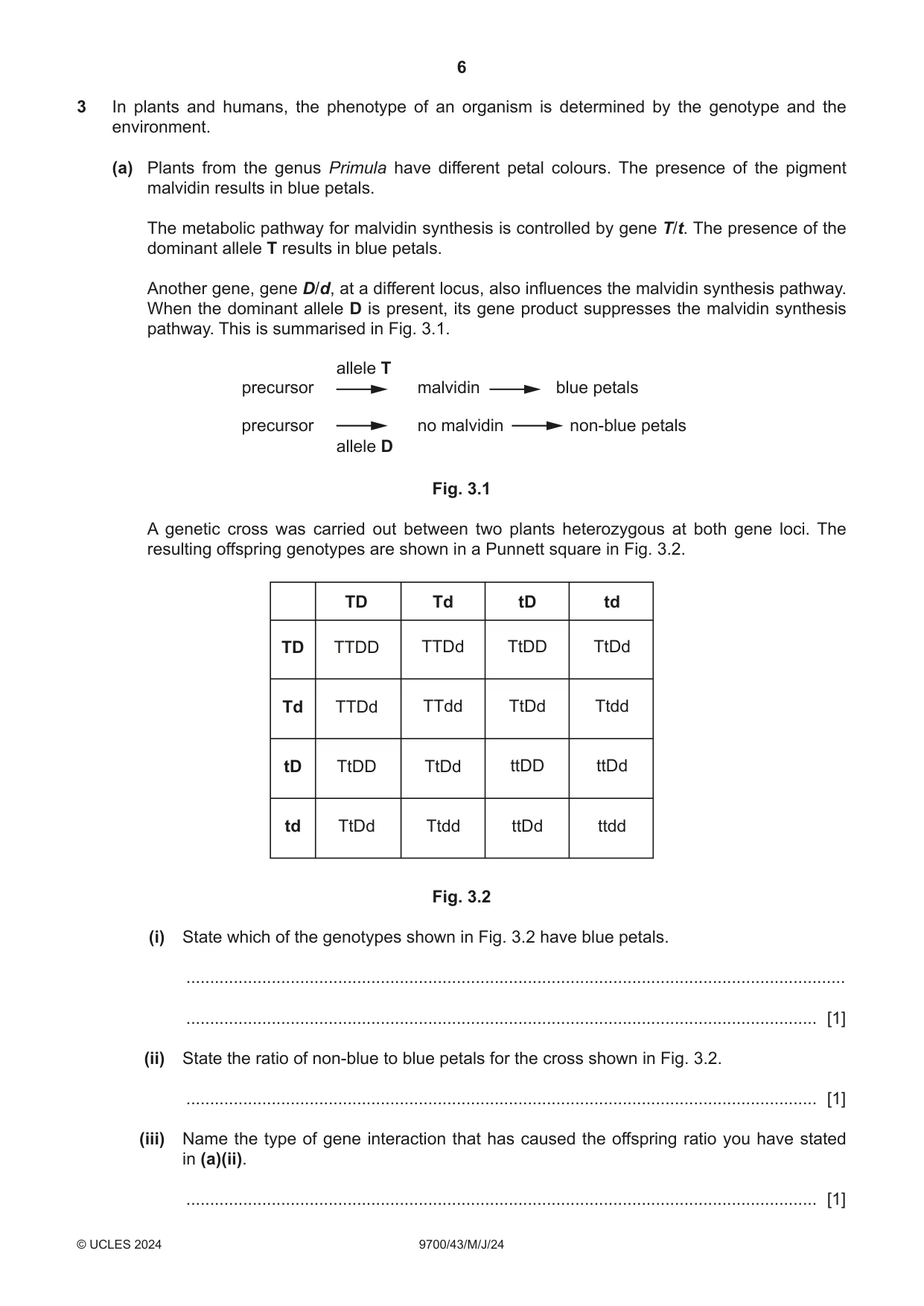 Cambridge A Level Biology 9700 2024 May/June Paper 4 · Variant 3 question paper, page 6 of 24