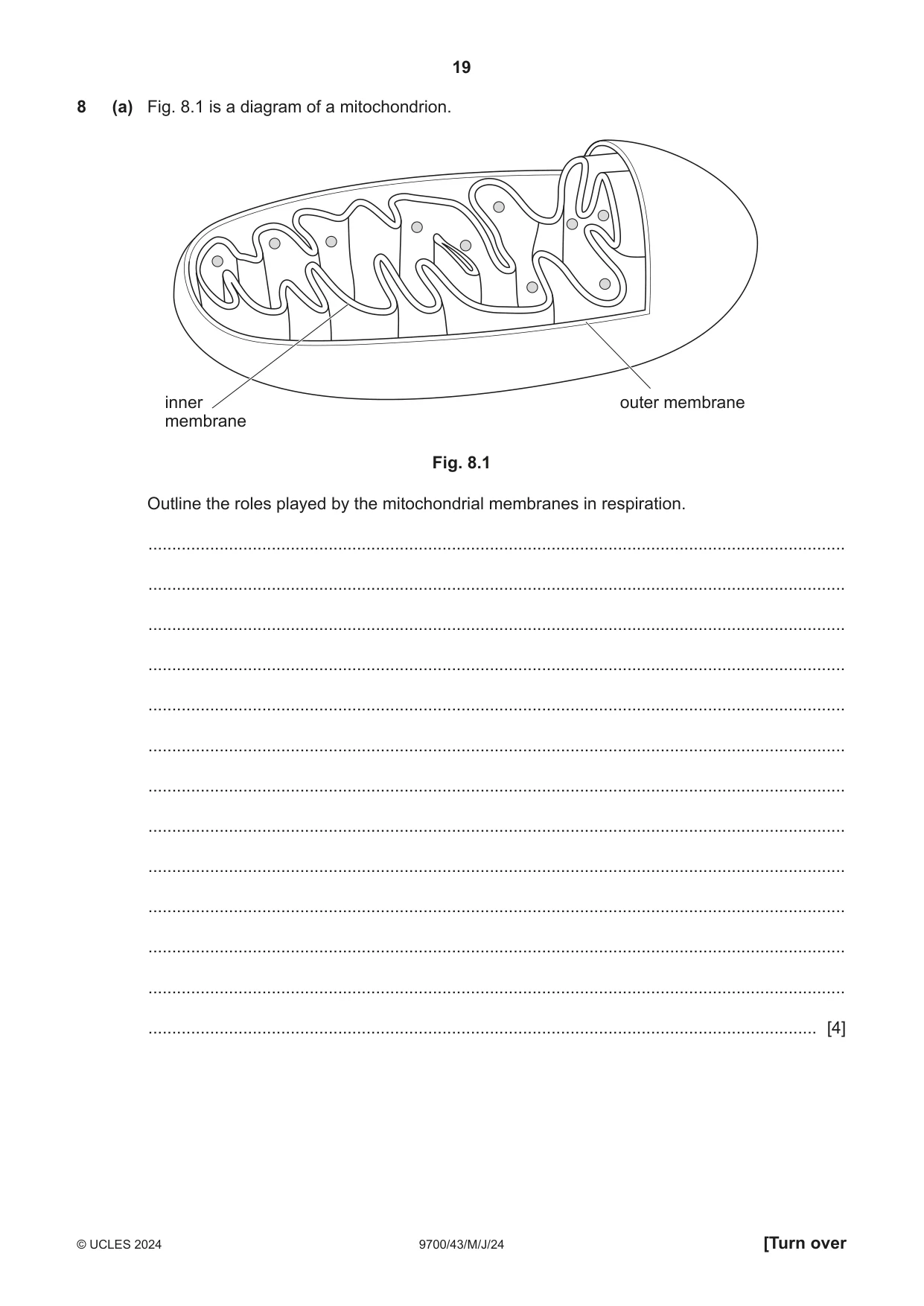 Cambridge A Level Biology 9700 2024 May/June Paper 4 · Variant 3 question paper, page 19 of 24