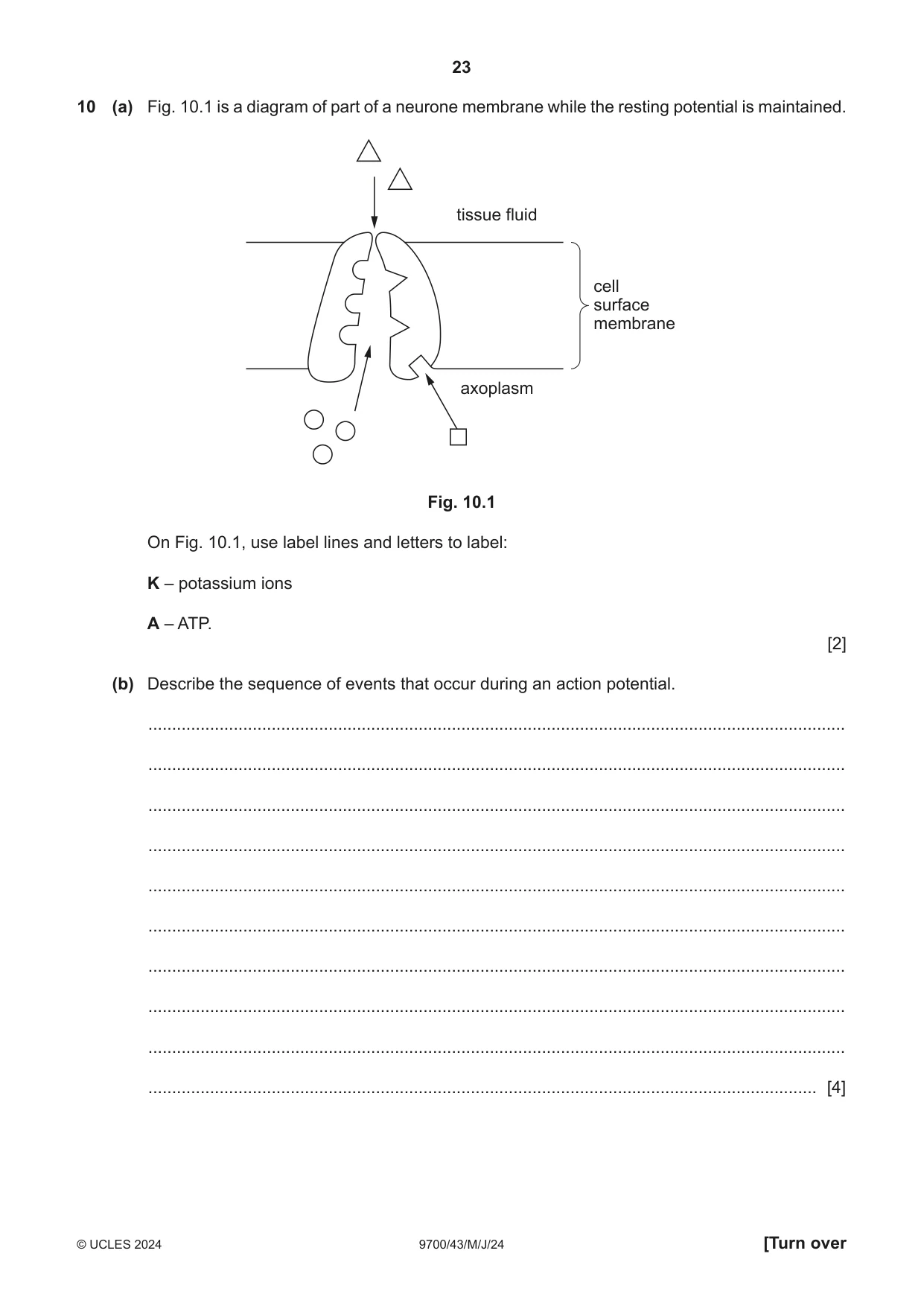 Cambridge A Level Biology 9700 2024 May/June Paper 4 · Variant 3 question paper, page 23 of 24