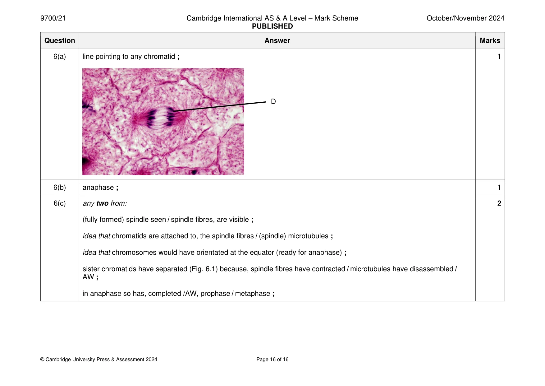 Mark scheme, page 16 of 16