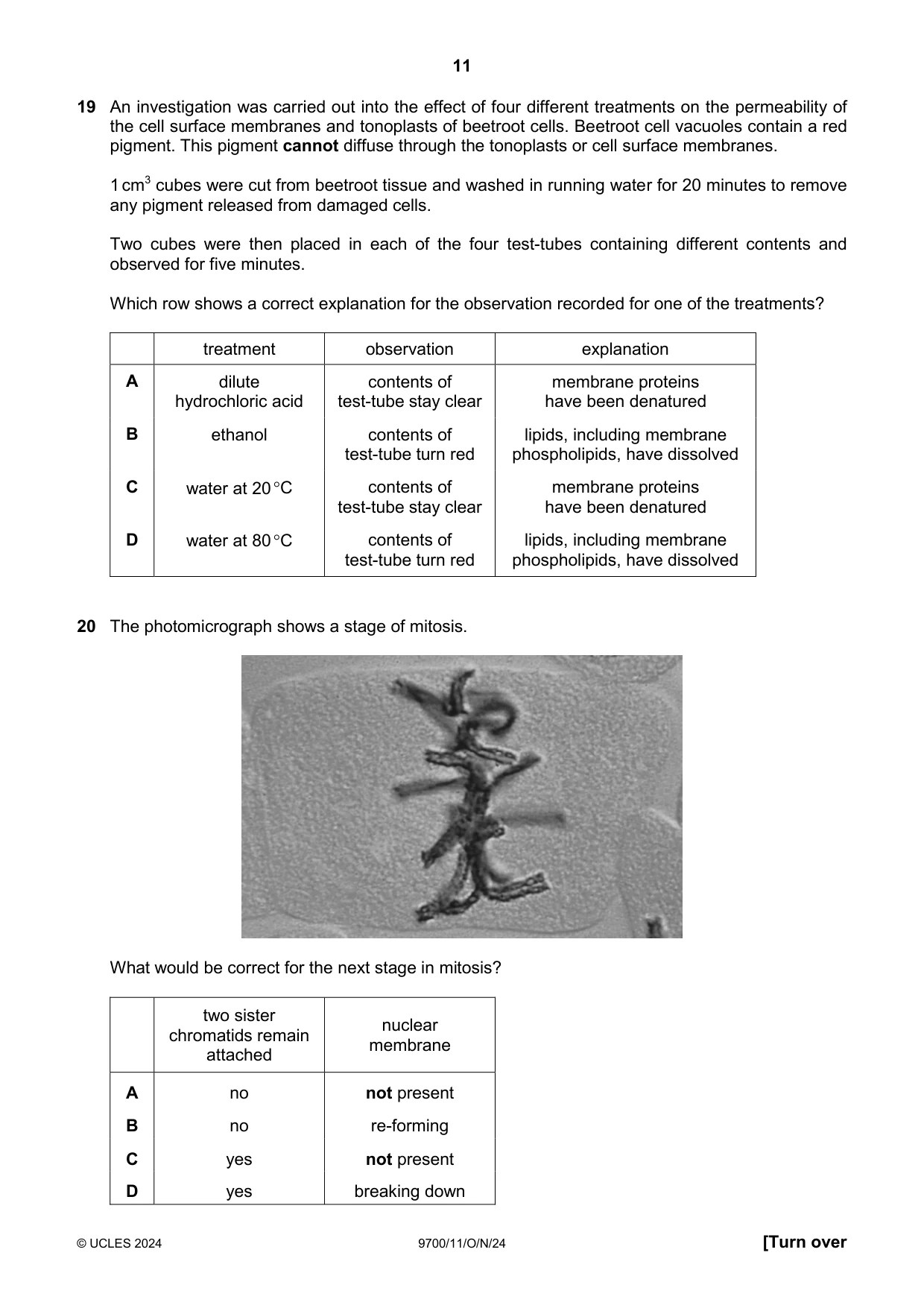 Cambridge A Level Biology 9700 2024 Oct/Nov Paper 1 · Variant 1 question paper, page 11 of 20