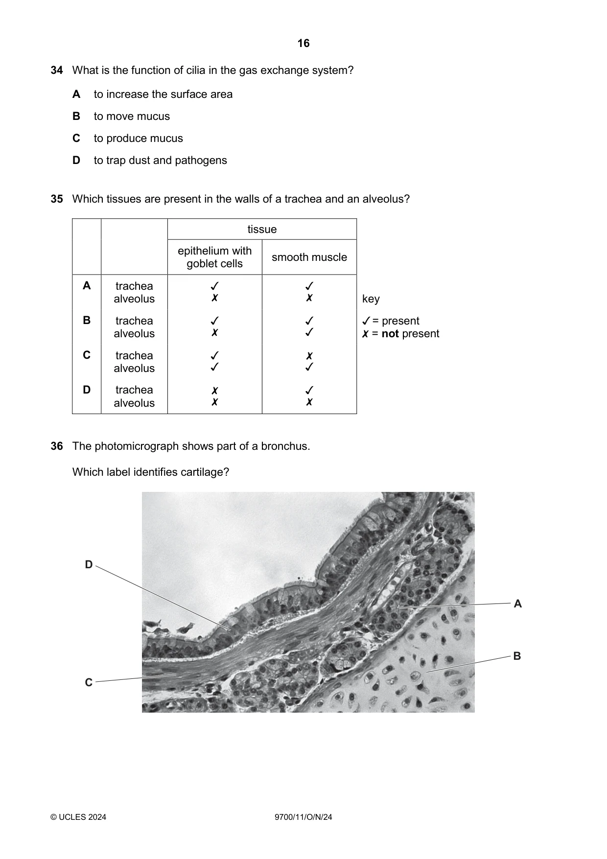 Cambridge A Level Biology 9700 2024 Oct/Nov Paper 1 · Variant 1 question paper, page 16 of 20