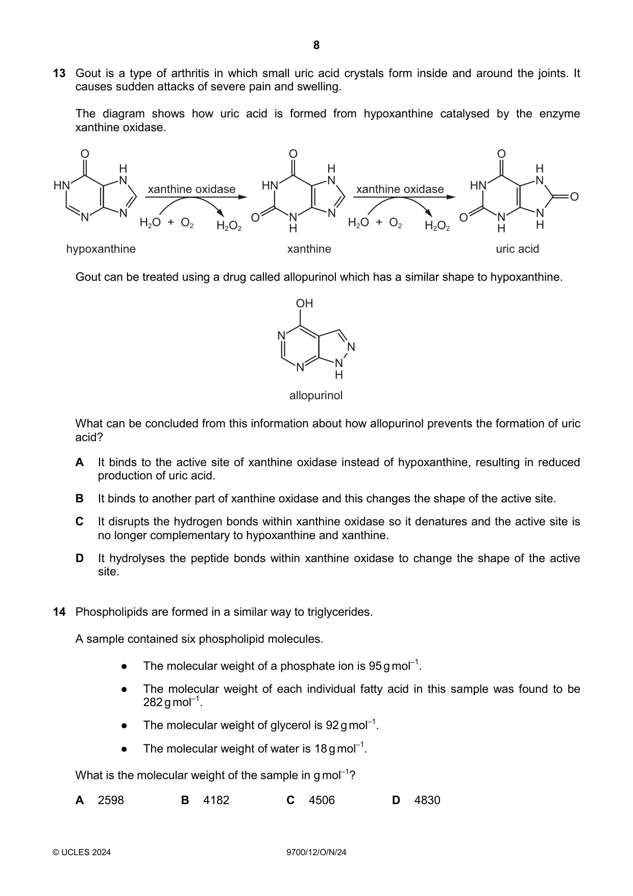 Cambridge A Level Biology 9700 2024 Oct/Nov Paper 1 · Variant 2 question paper, page 8 of 20