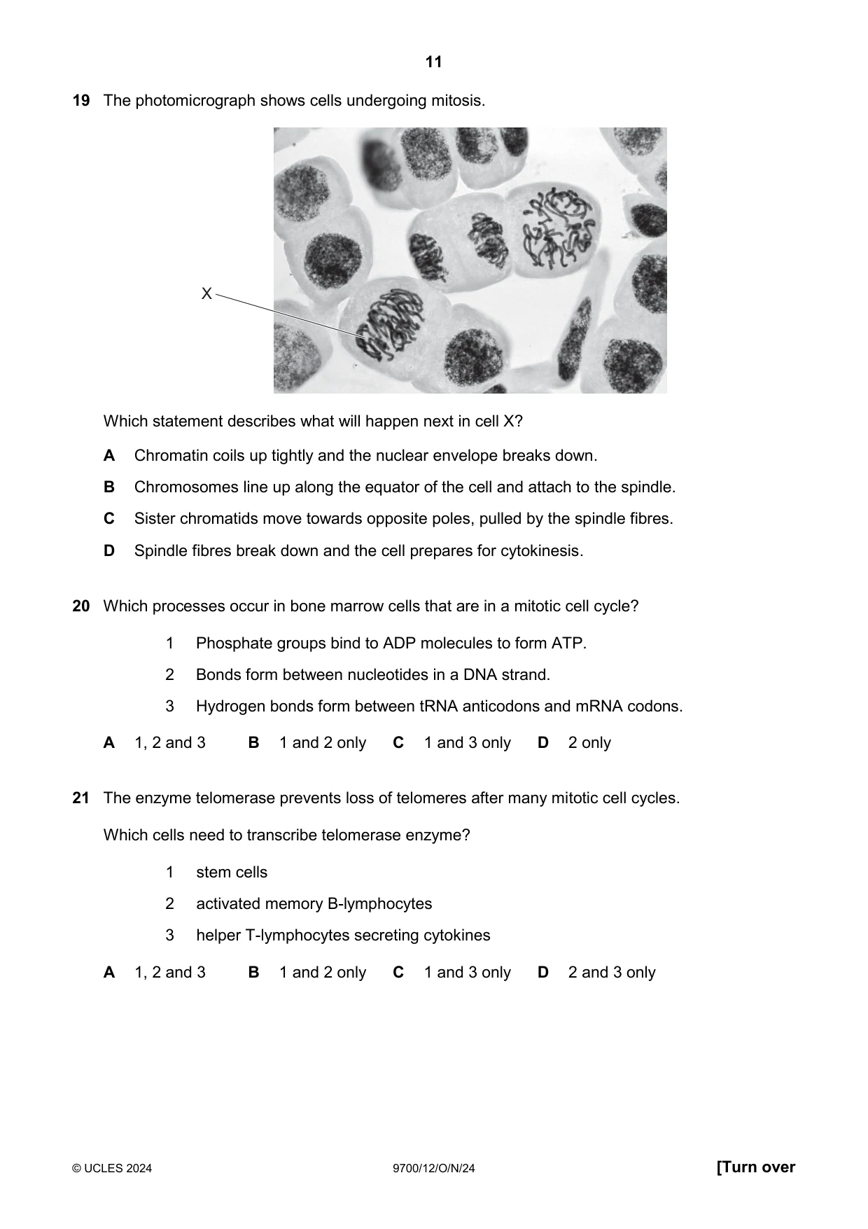 Cambridge A Level Biology 9700 2024 Oct/Nov Paper 1 · Variant 2 question paper, page 11 of 20