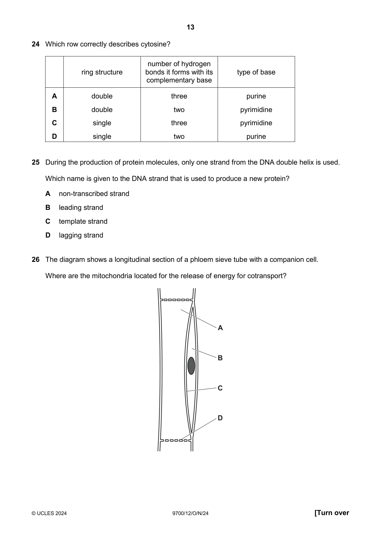 Cambridge A Level Biology 9700 2024 Oct/Nov Paper 1 · Variant 2 question paper, page 13 of 20