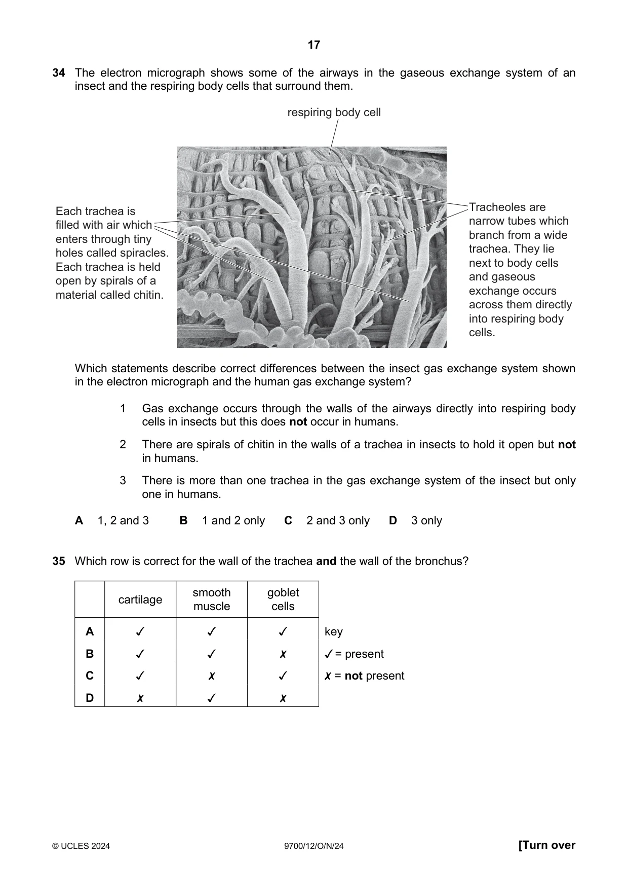 Cambridge A Level Biology 9700 2024 Oct/Nov Paper 1 · Variant 2 question paper, page 17 of 20