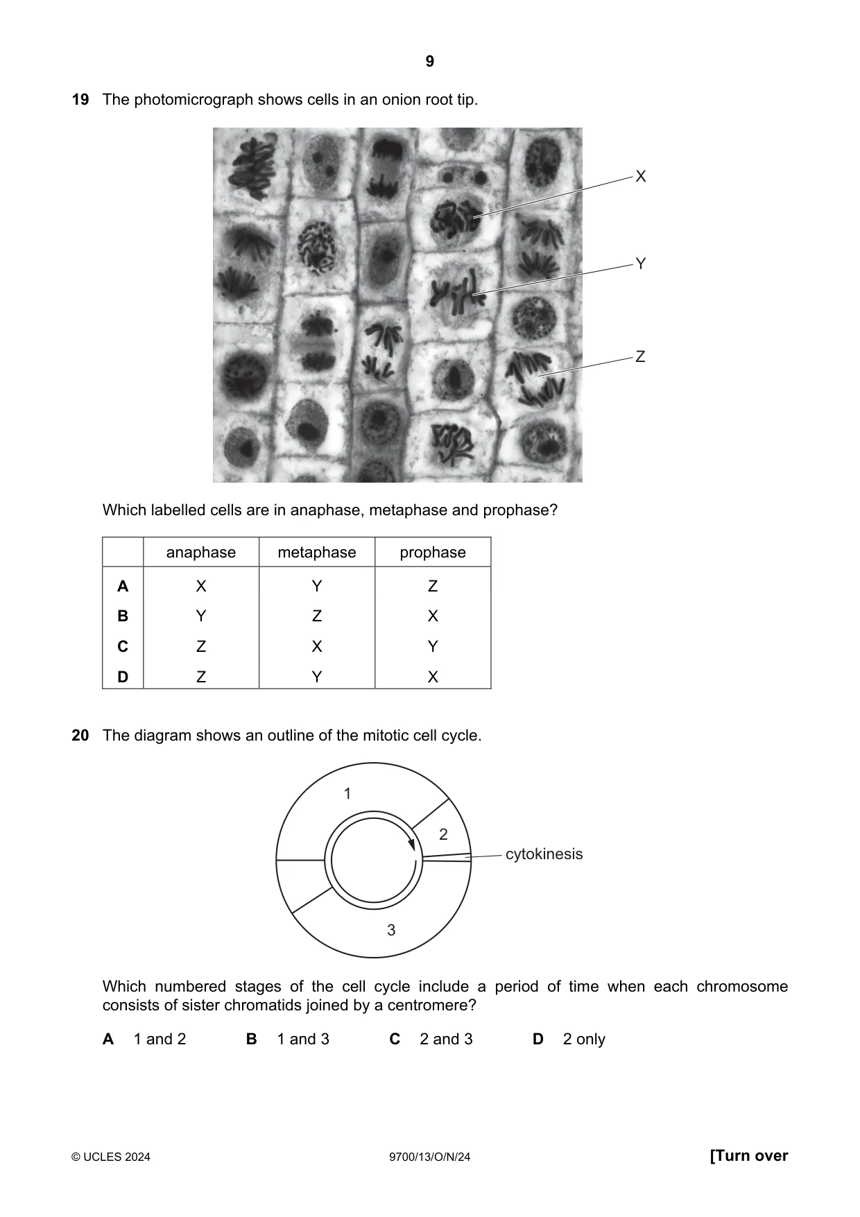Cambridge A Level Biology 9700 2024 Oct/Nov Paper 1 · Variant 3 question paper, page 9 of 20