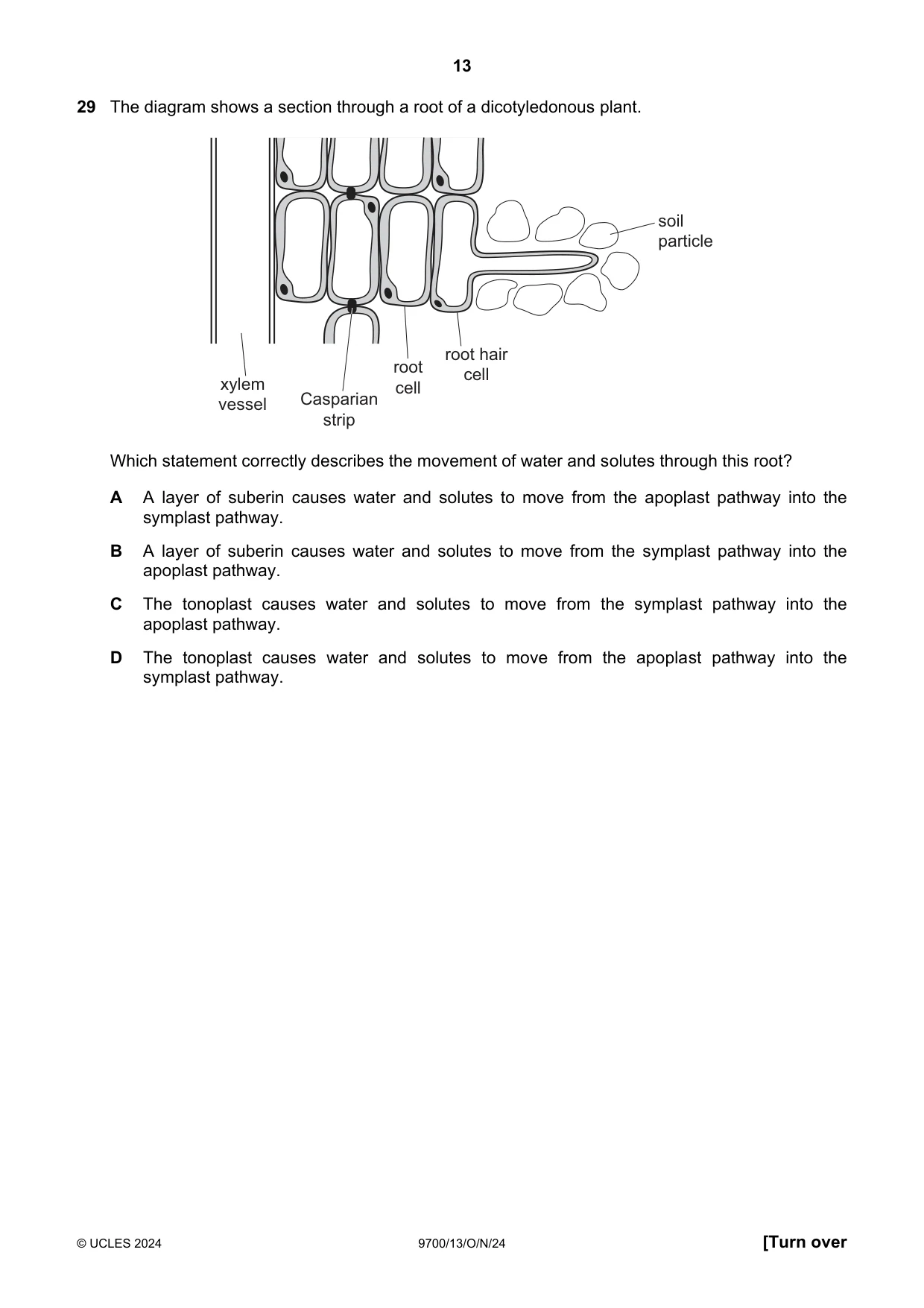 Cambridge A Level Biology 9700 2024 Oct/Nov Paper 1 · Variant 3 question paper, page 13 of 20