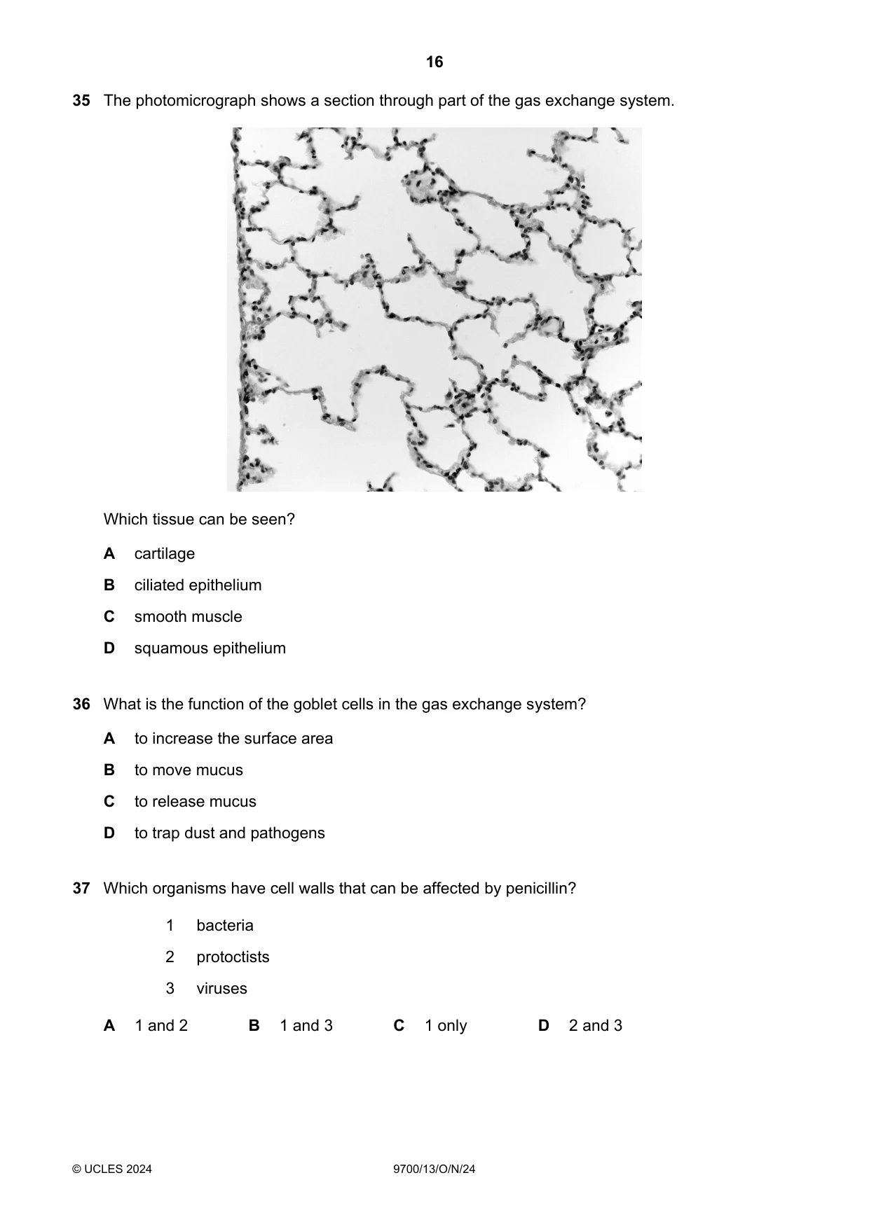 Cambridge A Level Biology 9700 2024 Oct/Nov Paper 1 · Variant 3 question paper, page 16 of 20