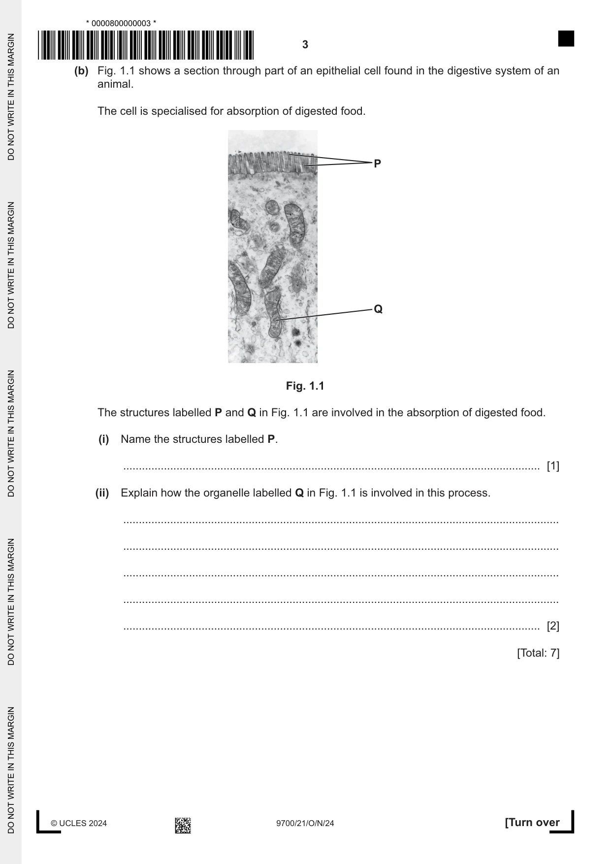 Cambridge A Level Biology 9700 2024 Oct/Nov Paper 2 · Variant 1 question paper, page 3 of 24