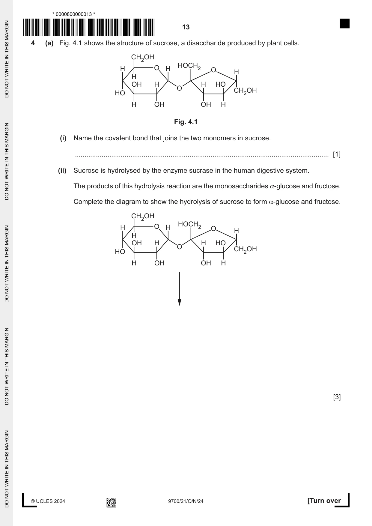 Cambridge A Level Biology 9700 2024 Oct/Nov Paper 2 · Variant 1 question paper, page 13 of 24