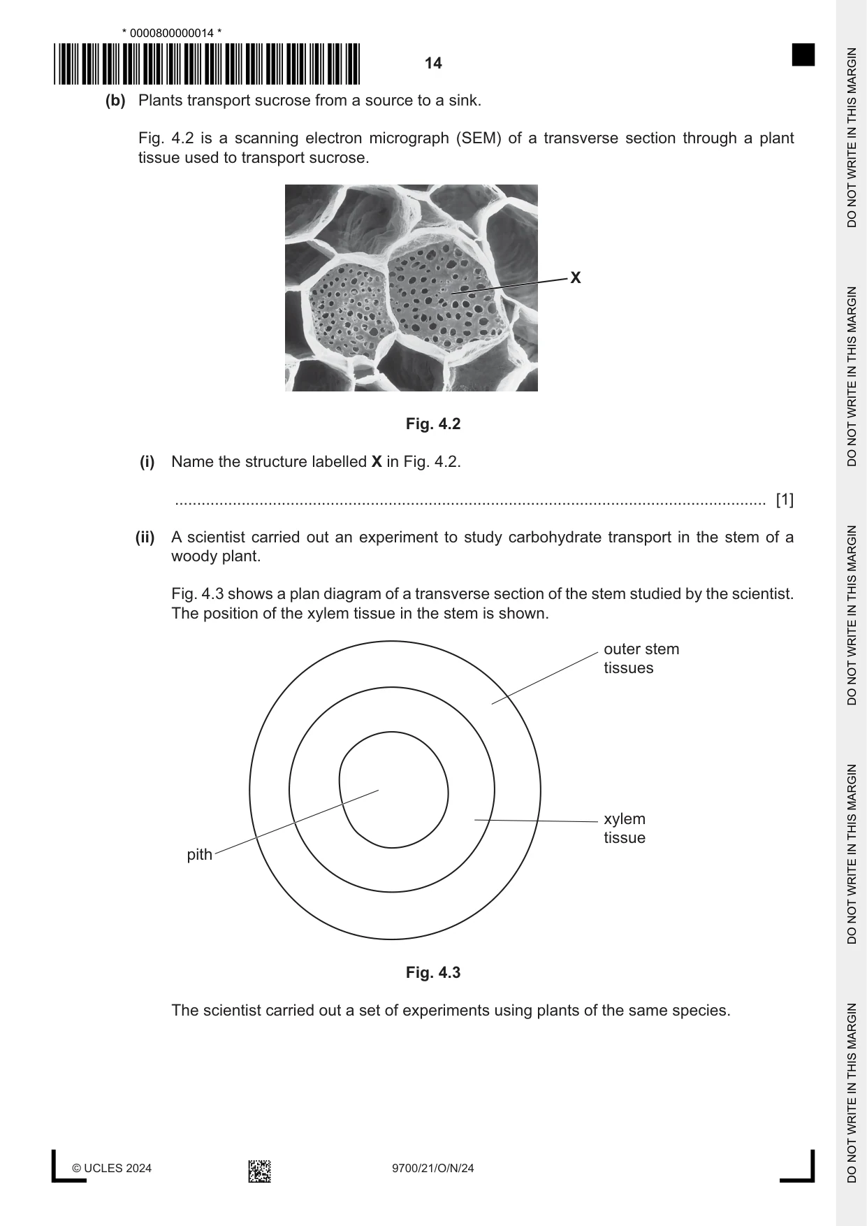 Cambridge A Level Biology 9700 2024 Oct/Nov Paper 2 · Variant 1 question paper, page 14 of 24