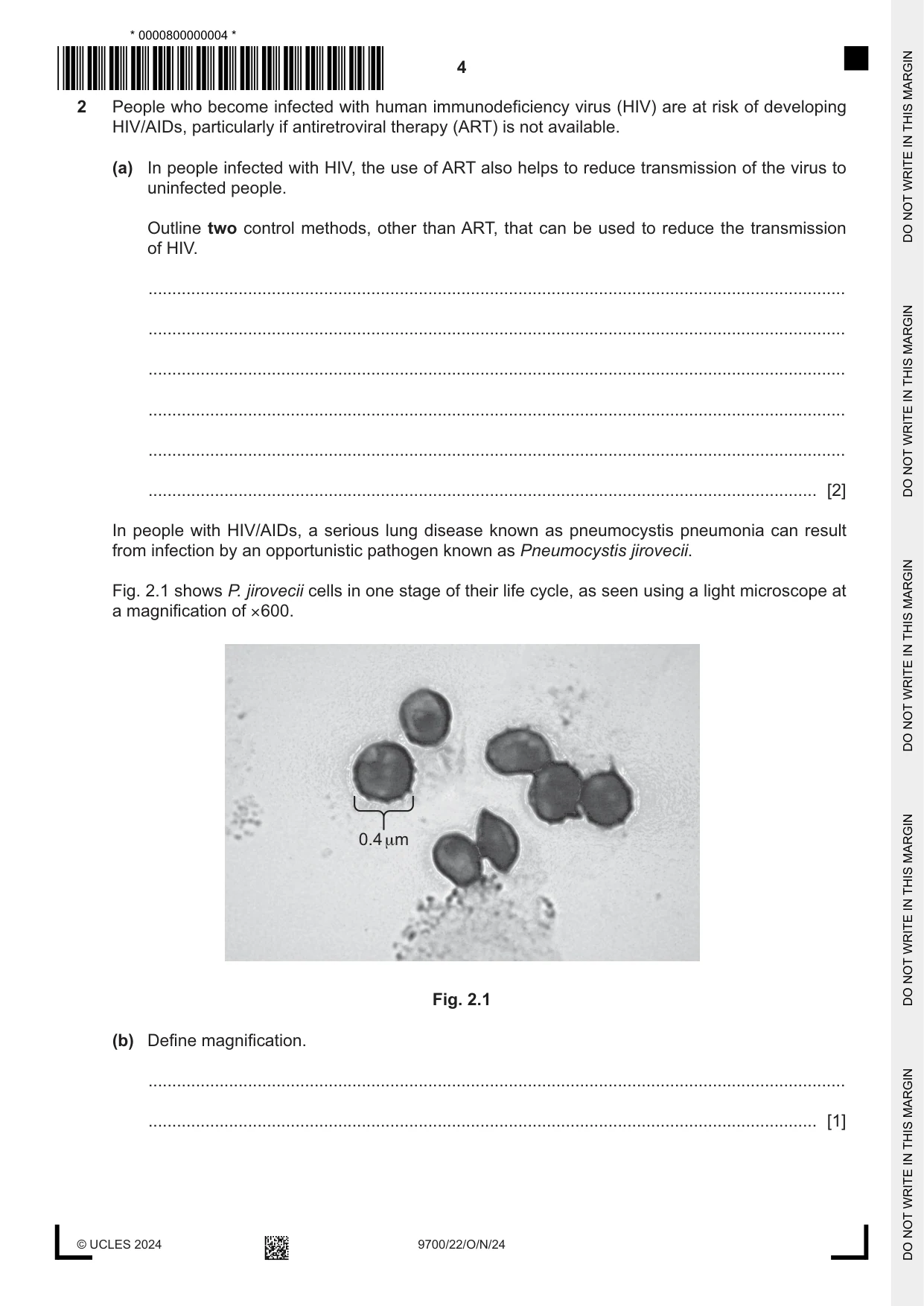 Cambridge A Level Biology 9700 2024 Oct/Nov Paper 2 · Variant 2 question paper, page 4 of 16