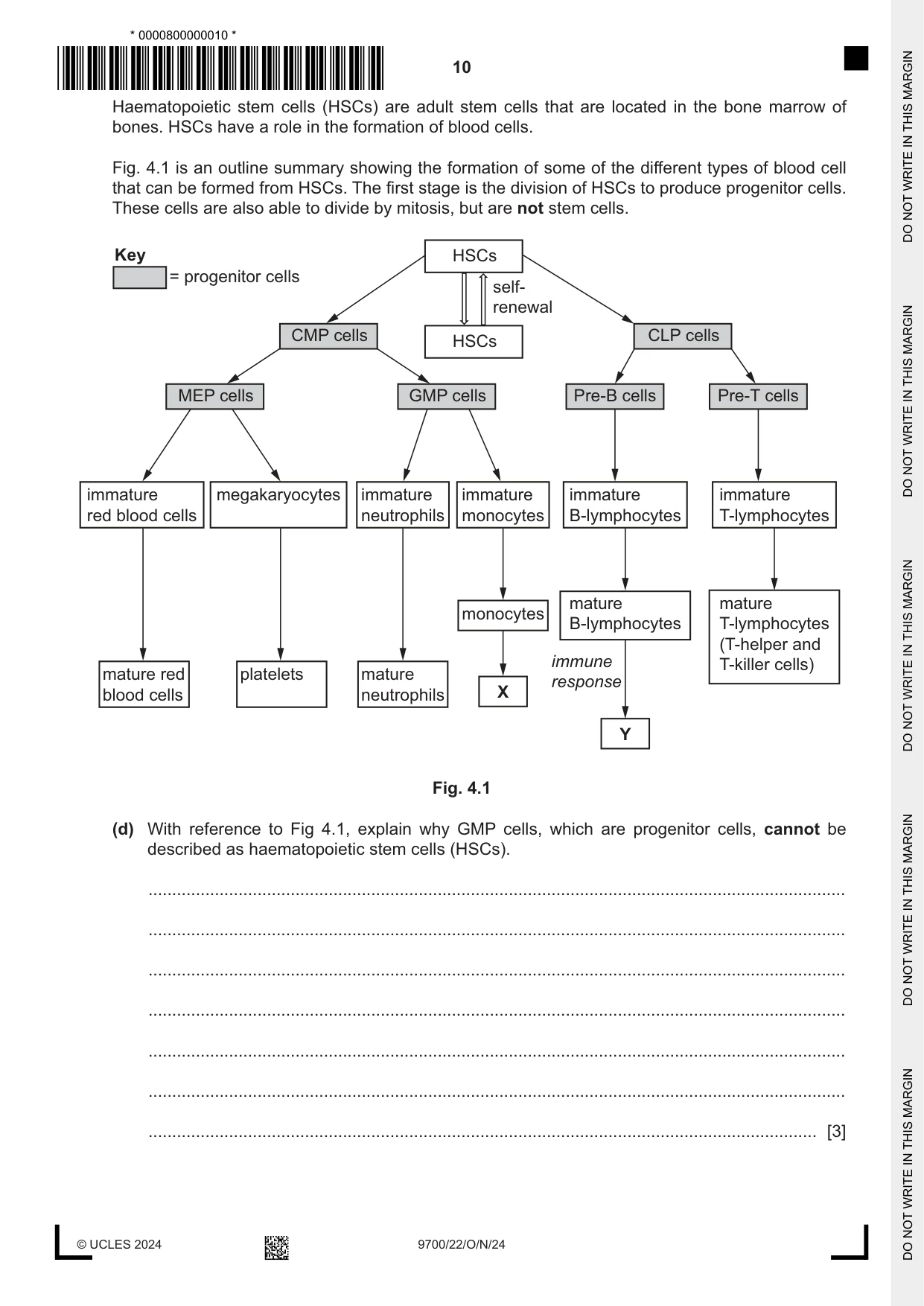 Cambridge A Level Biology 9700 2024 Oct/Nov Paper 2 · Variant 2 question paper, page 10 of 16