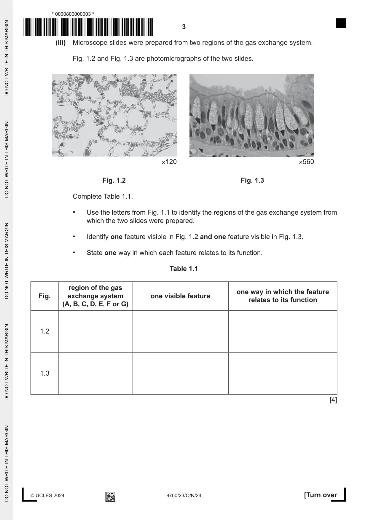 Cambridge A Level Biology 9700 2024 Oct/Nov Paper 2 · Variant 3 question paper, page 3 of 20