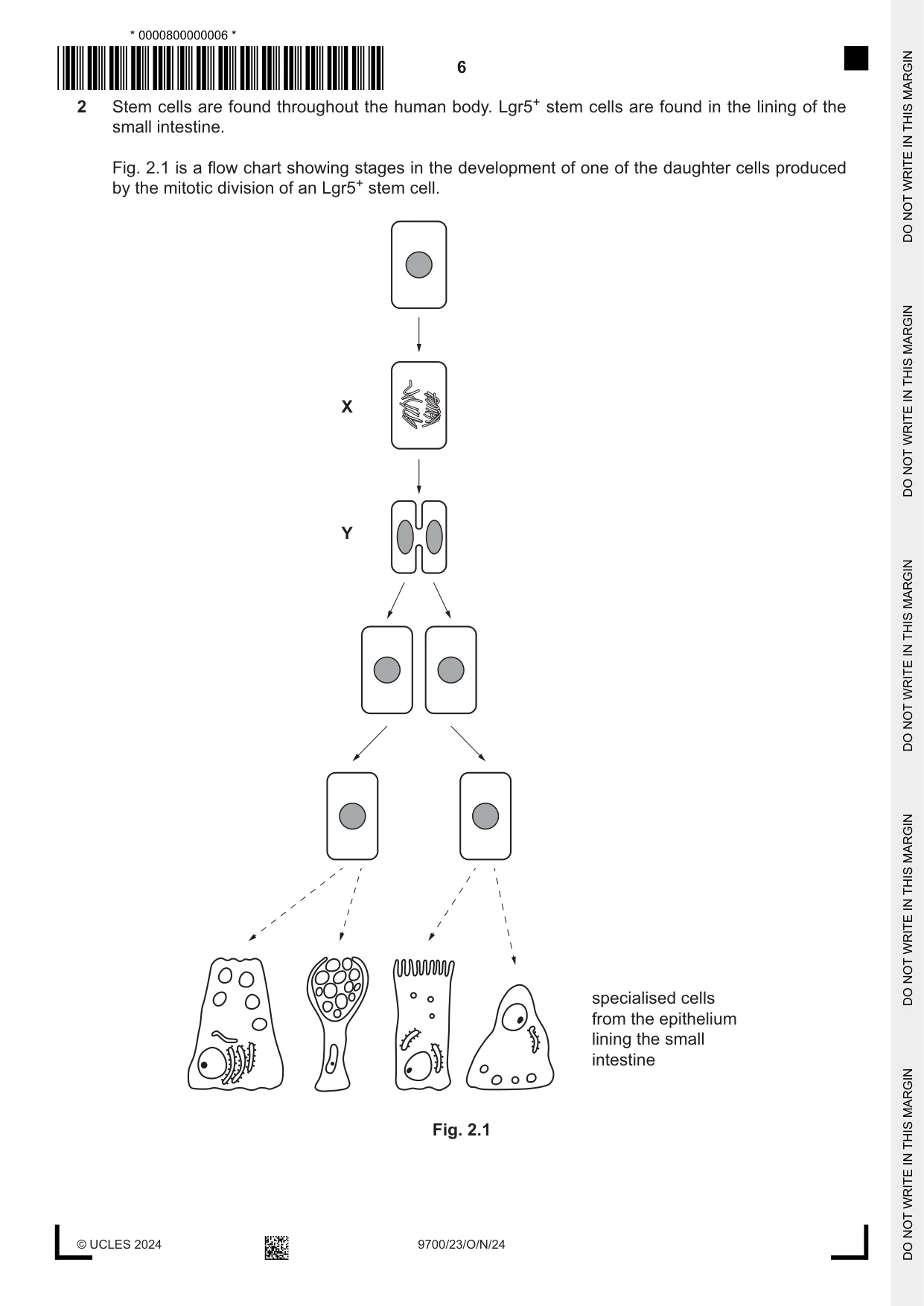Cambridge A Level Biology 9700 2024 Oct/Nov Paper 2 · Variant 3 question paper, page 6 of 20