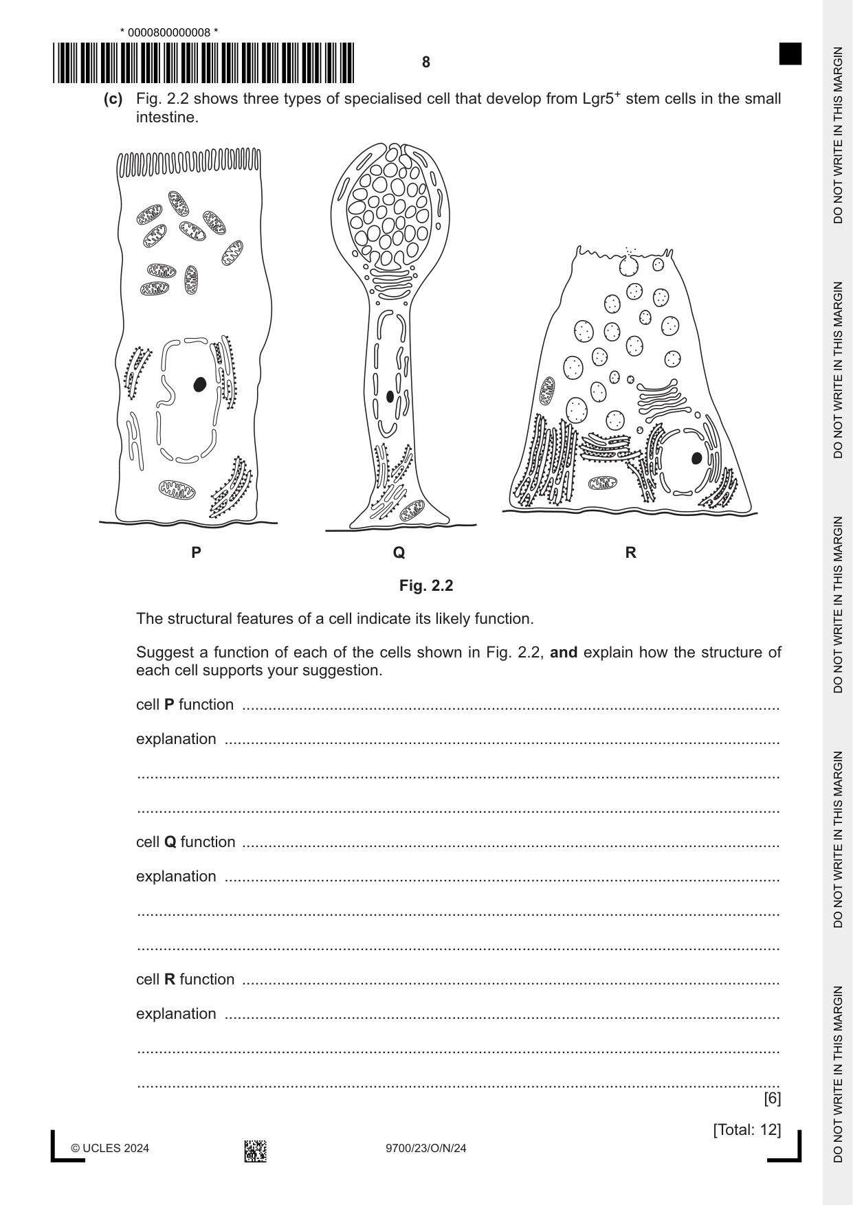 Cambridge A Level Biology 9700 2024 Oct/Nov Paper 2 · Variant 3 question paper, page 8 of 20