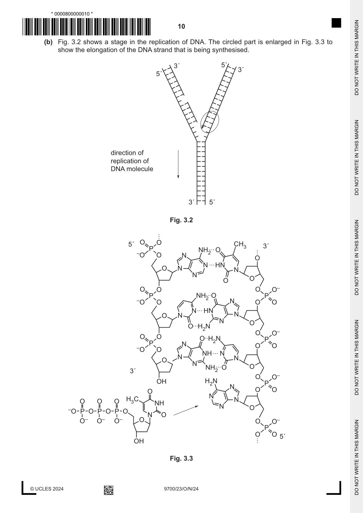 Cambridge A Level Biology 9700 2024 Oct/Nov Paper 2 · Variant 3 question paper, page 10 of 20