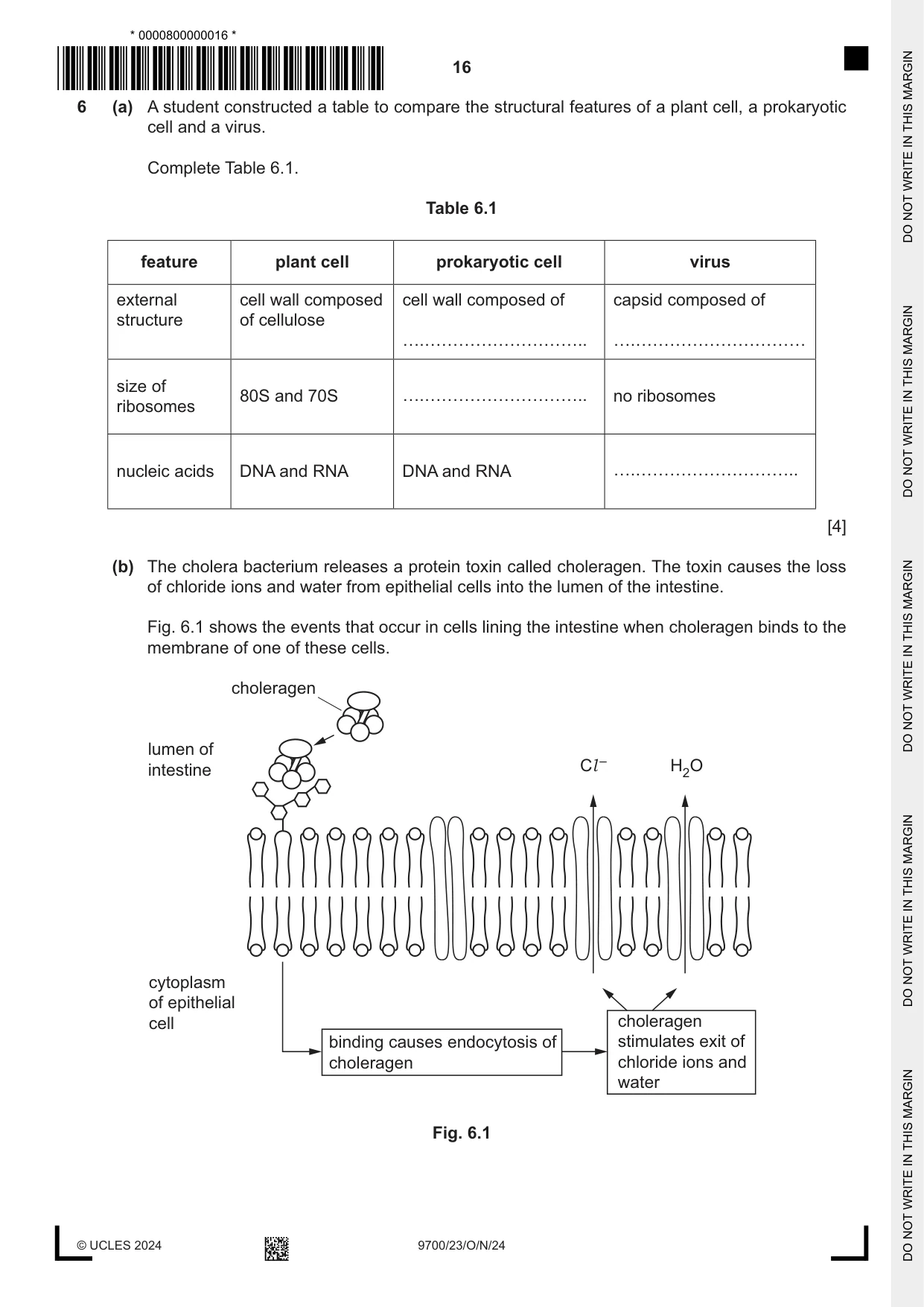 Cambridge A Level Biology 9700 2024 Oct/Nov Paper 2 · Variant 3 question paper, page 16 of 20