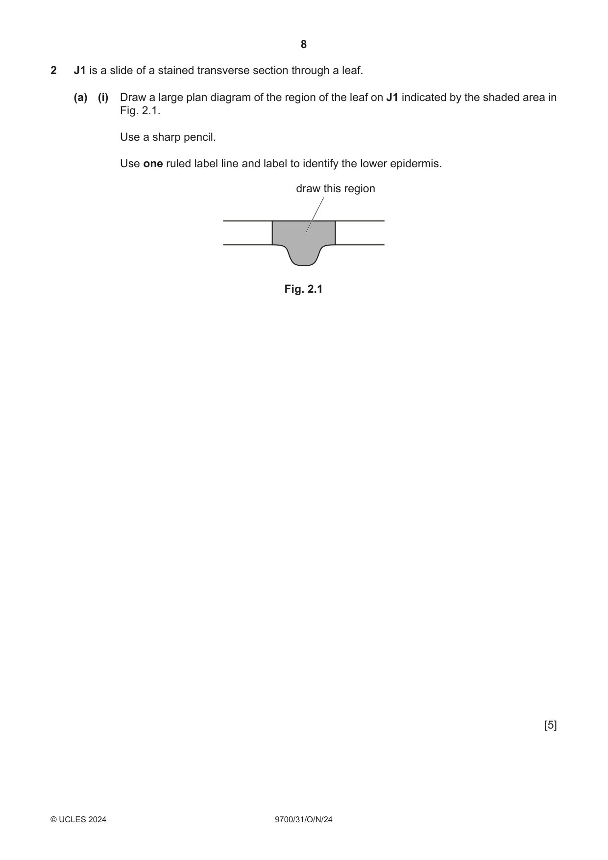 Cambridge A Level Biology 9700 2024 Oct/Nov Paper 3 · Variant 1 question paper, page 8 of 12