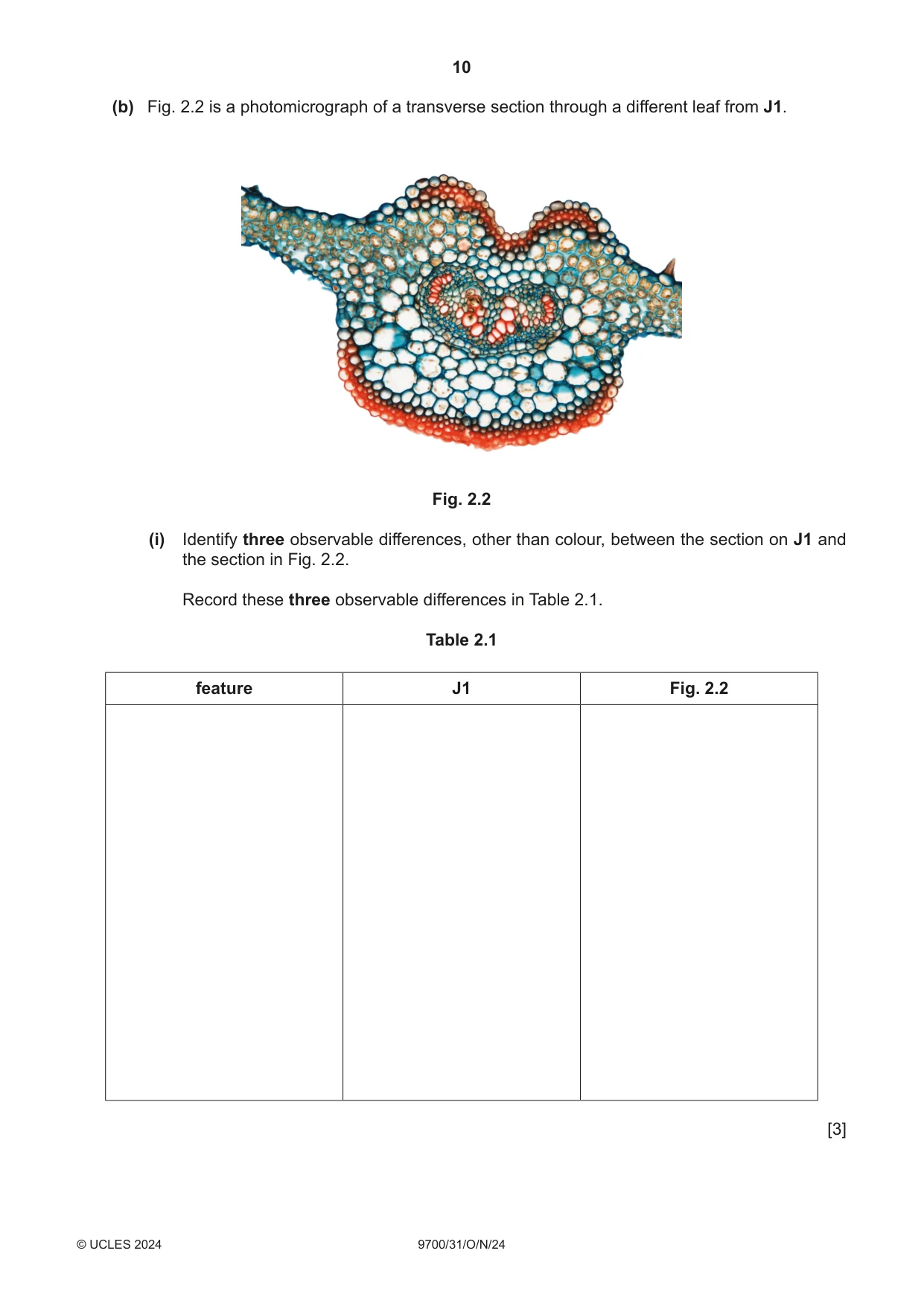 Cambridge A Level Biology 9700 2024 Oct/Nov Paper 3 · Variant 1 question paper, page 10 of 12