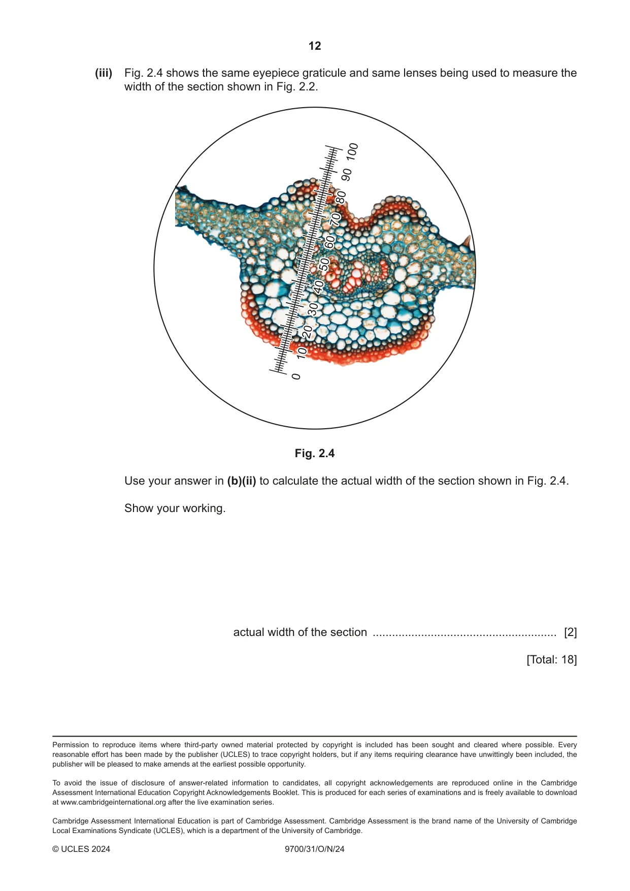 Cambridge A Level Biology 9700 2024 Oct/Nov Paper 3 · Variant 1 question paper, page 12 of 12