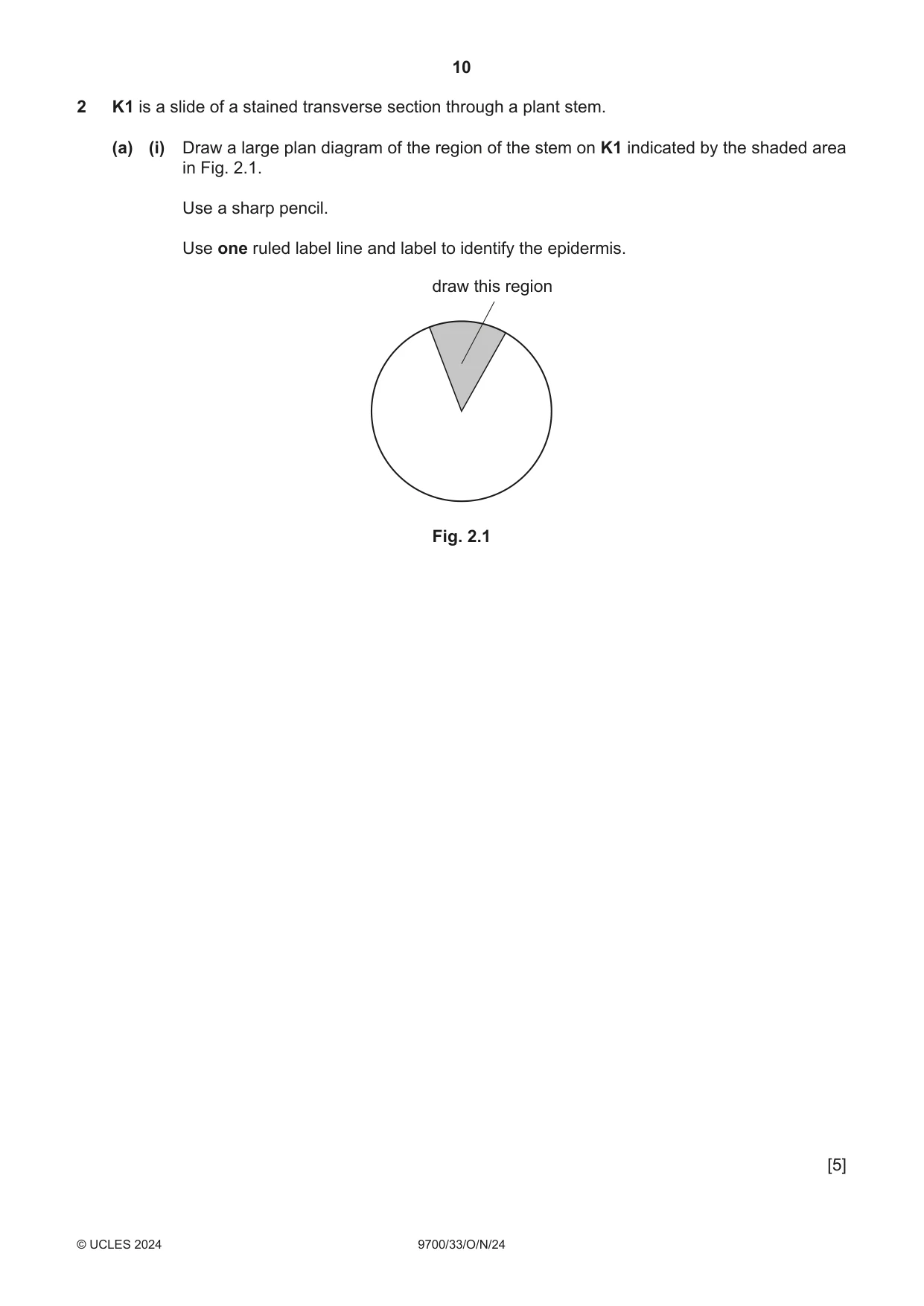 Cambridge A Level Biology 9700 2024 Oct/Nov Paper 3 · Variant 3 question paper, page 10 of 16
